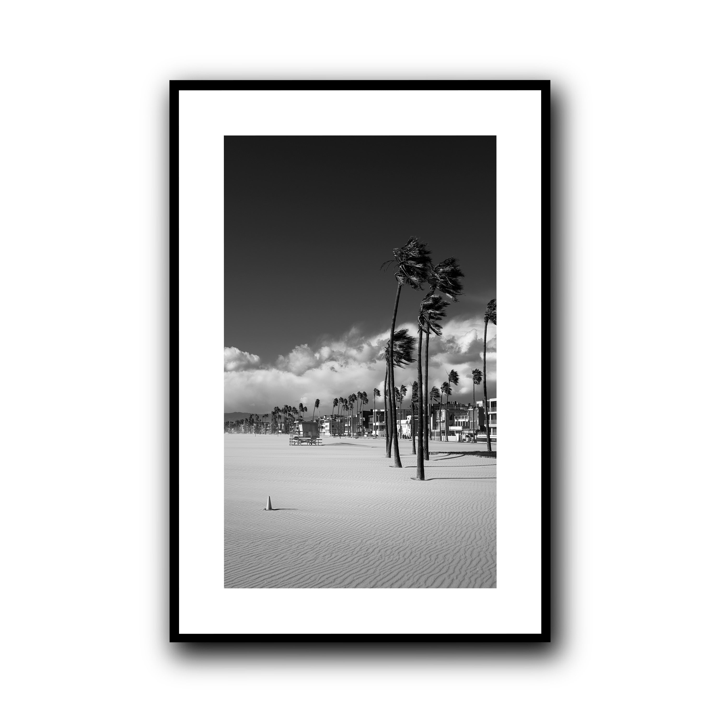 Windcarved, Venice Beach