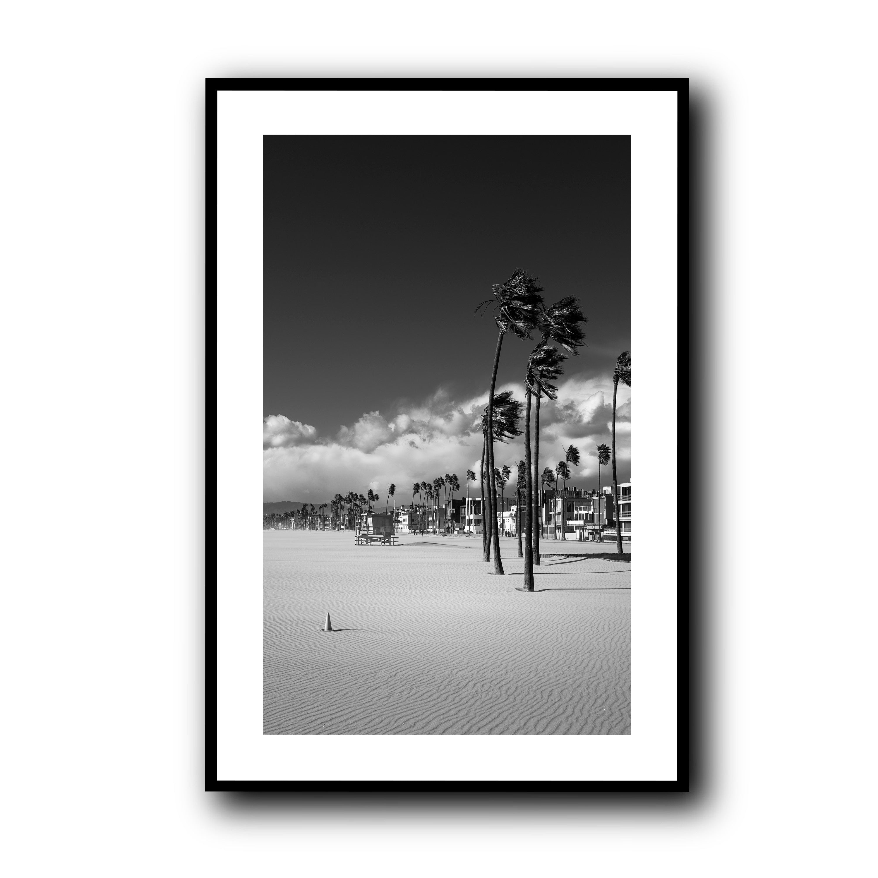 Windcarved, Venice Beach