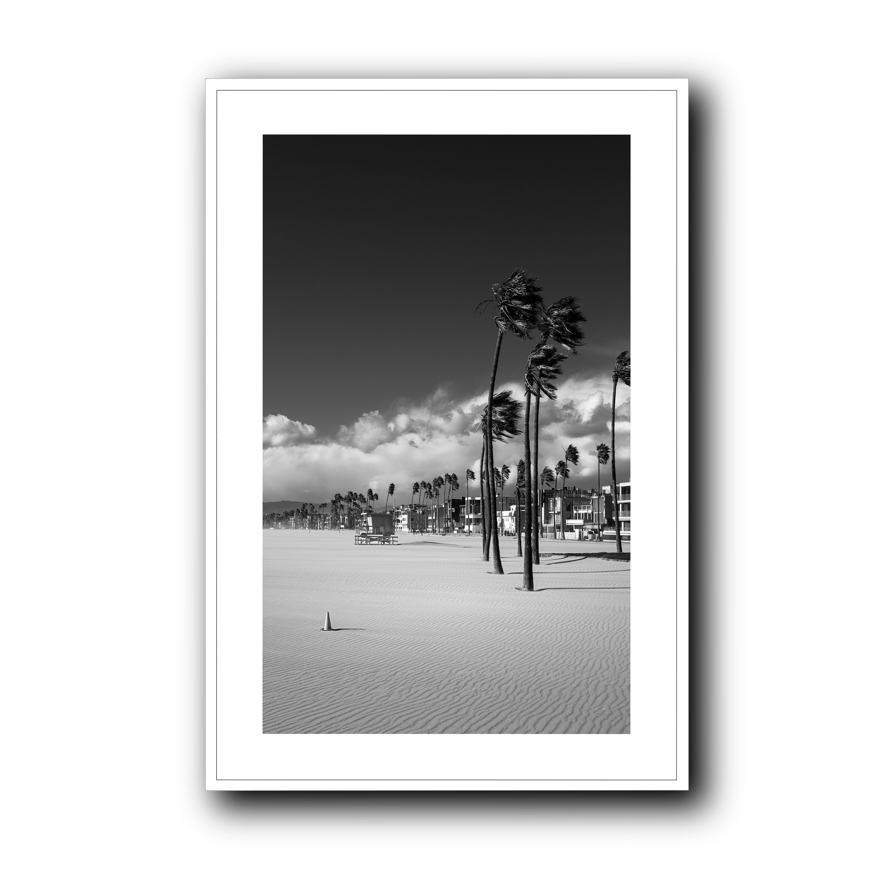 Windcarved, Venice Beach