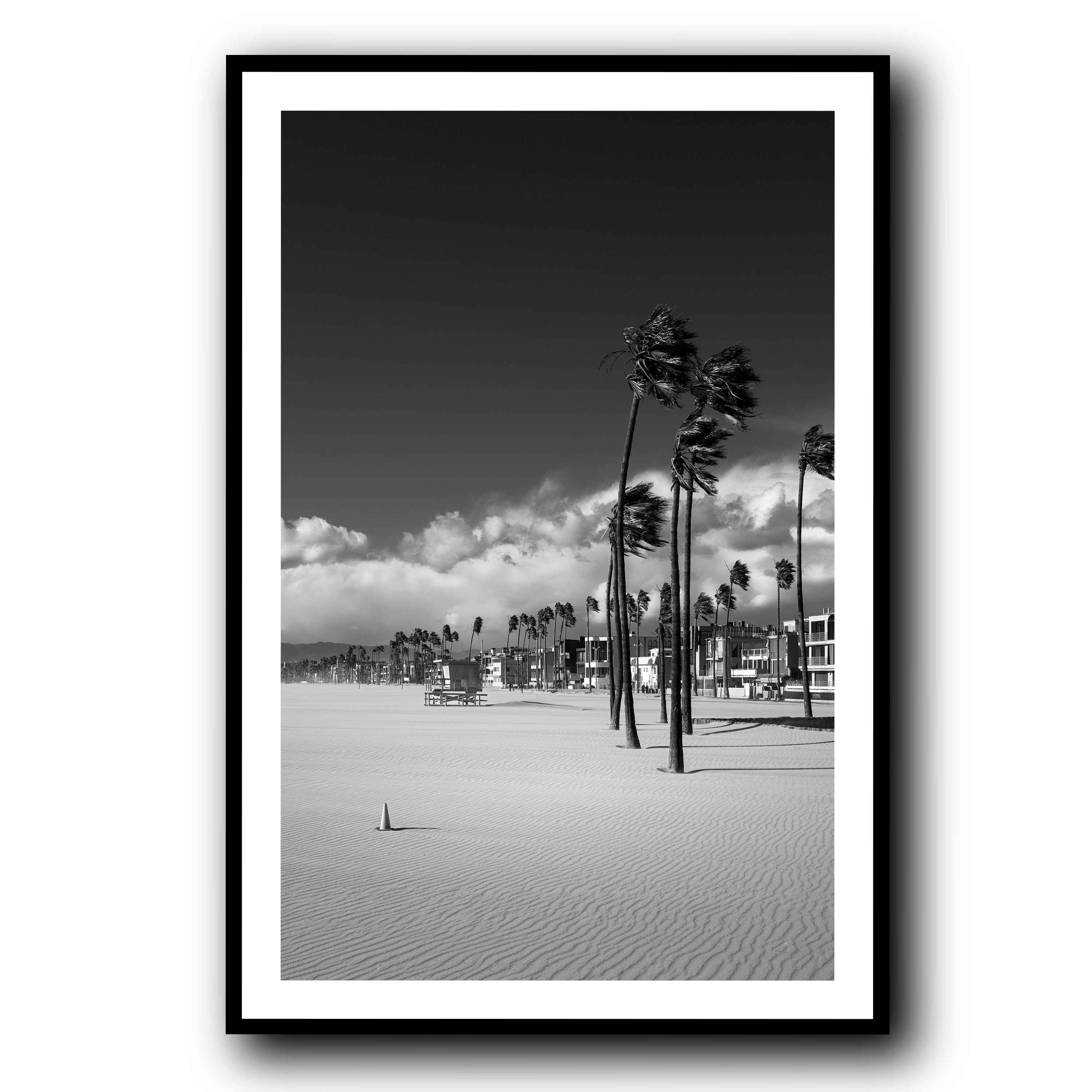 Windcarved, Venice Beach