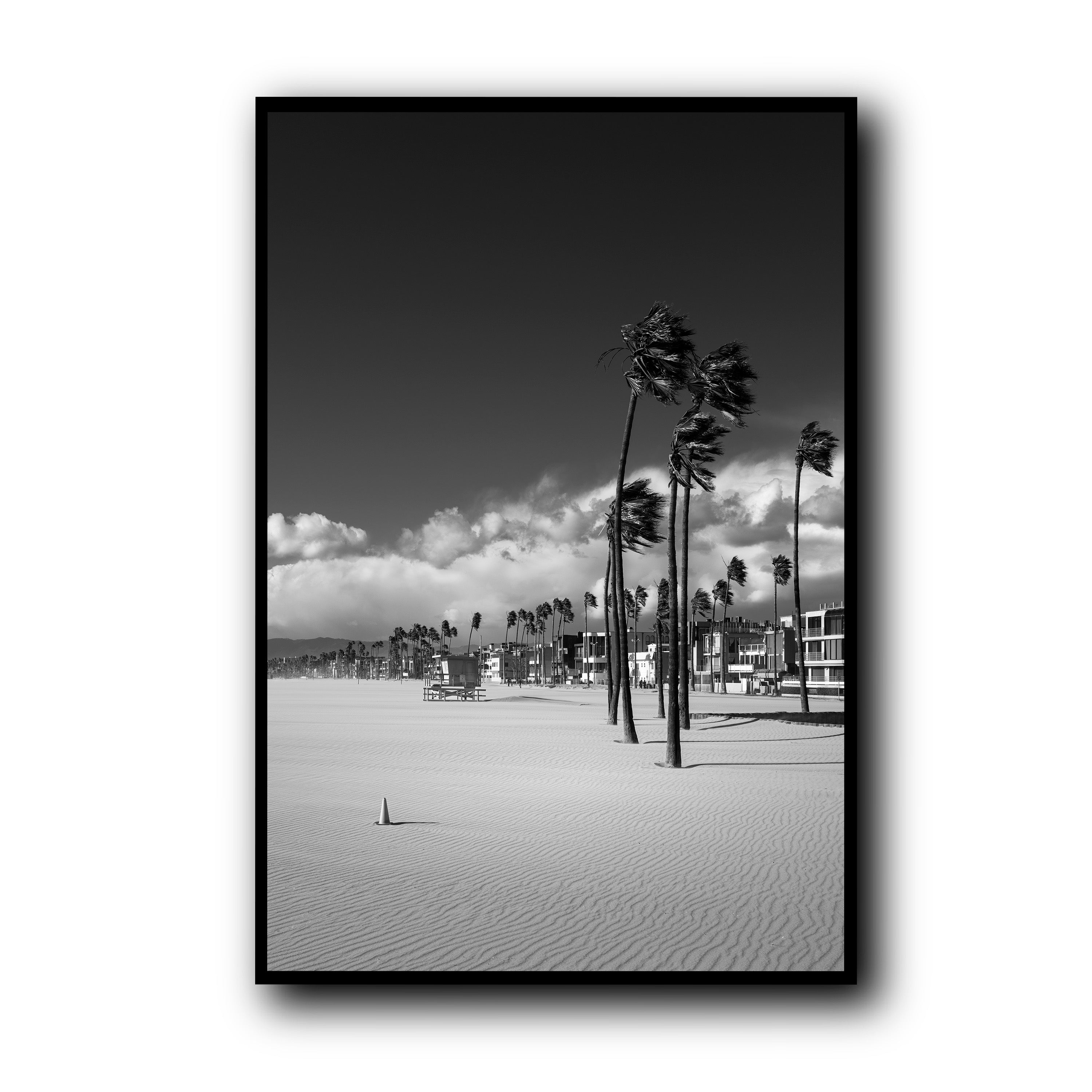 Windcarved, Venice Beach