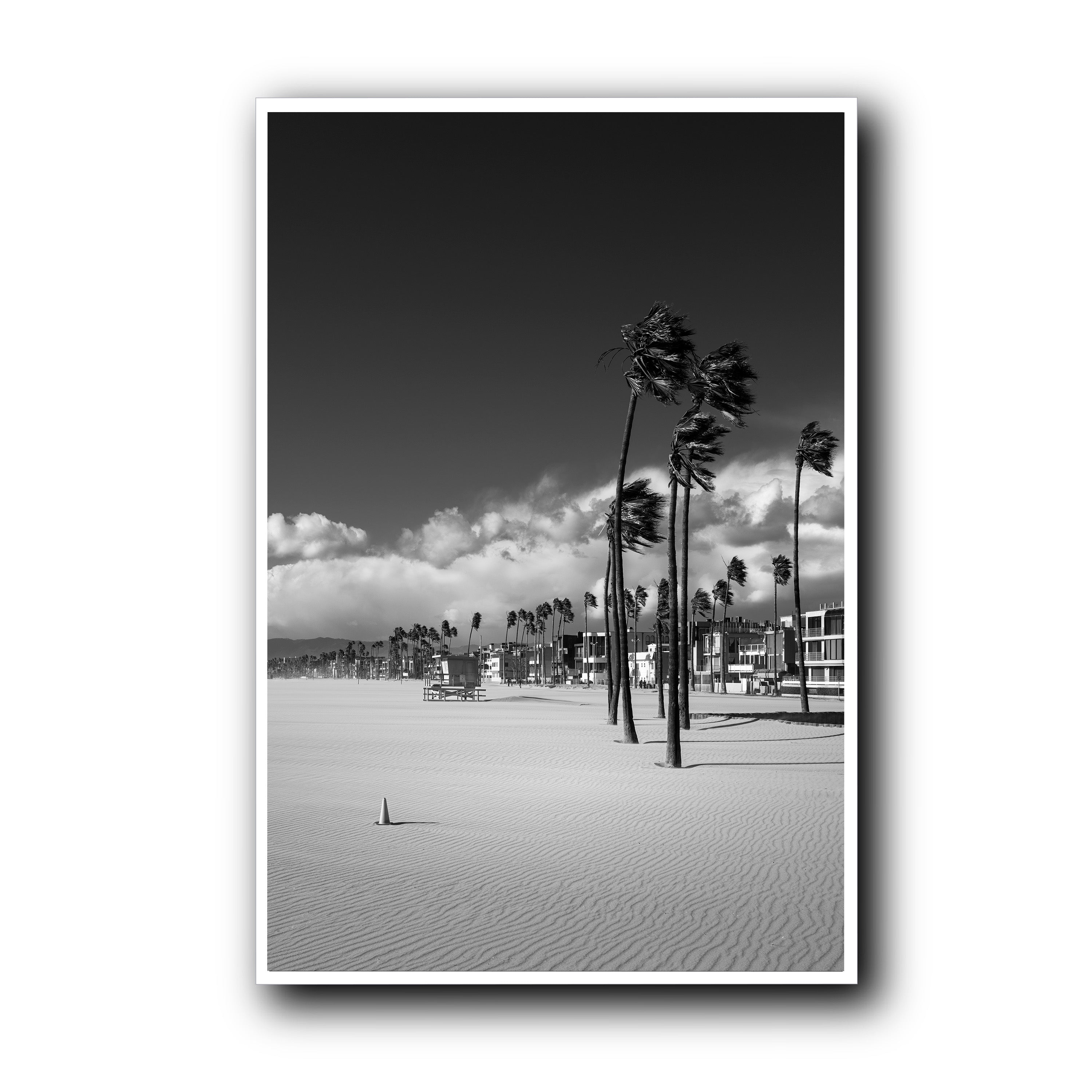 Windcarved, Venice Beach