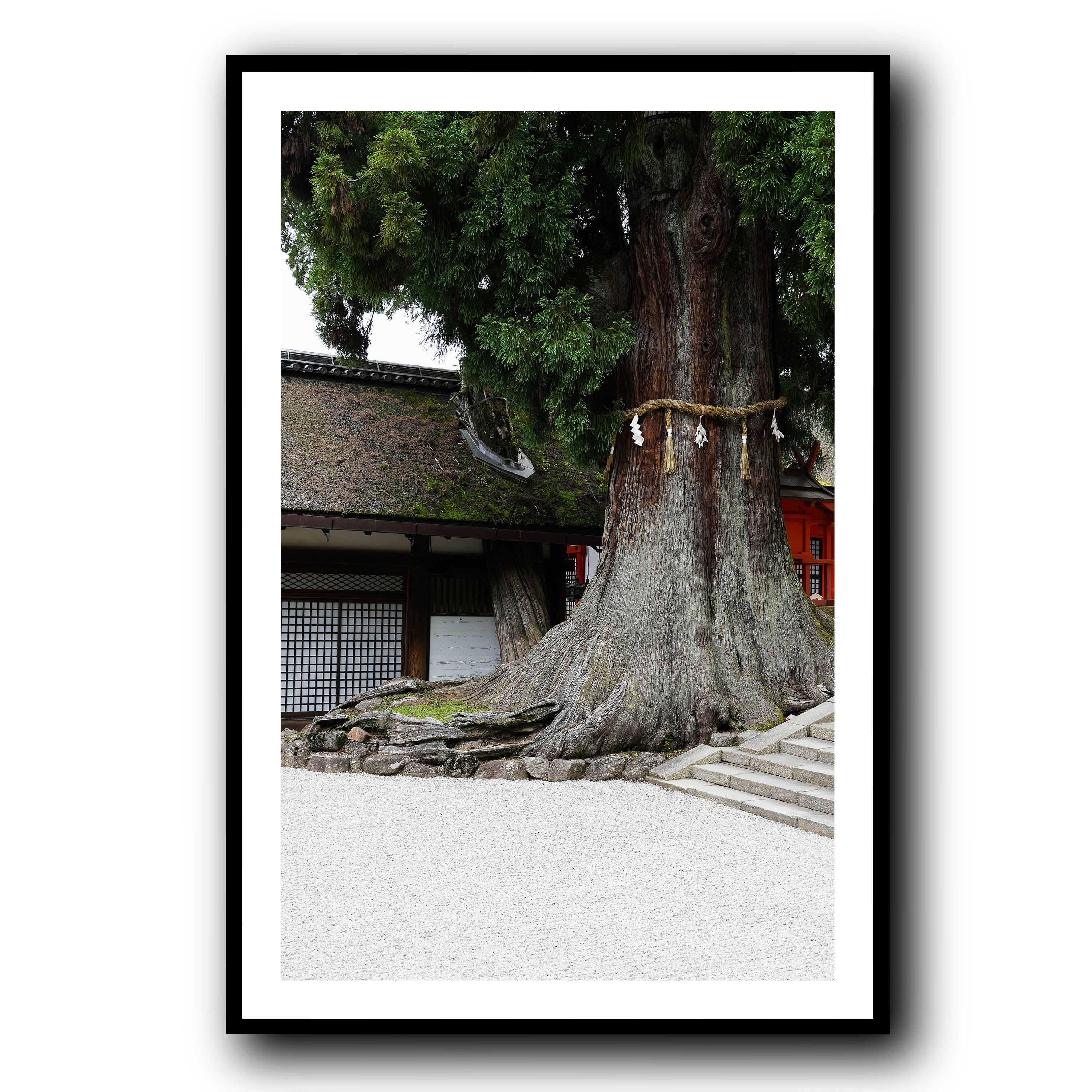 The Tree, Nara