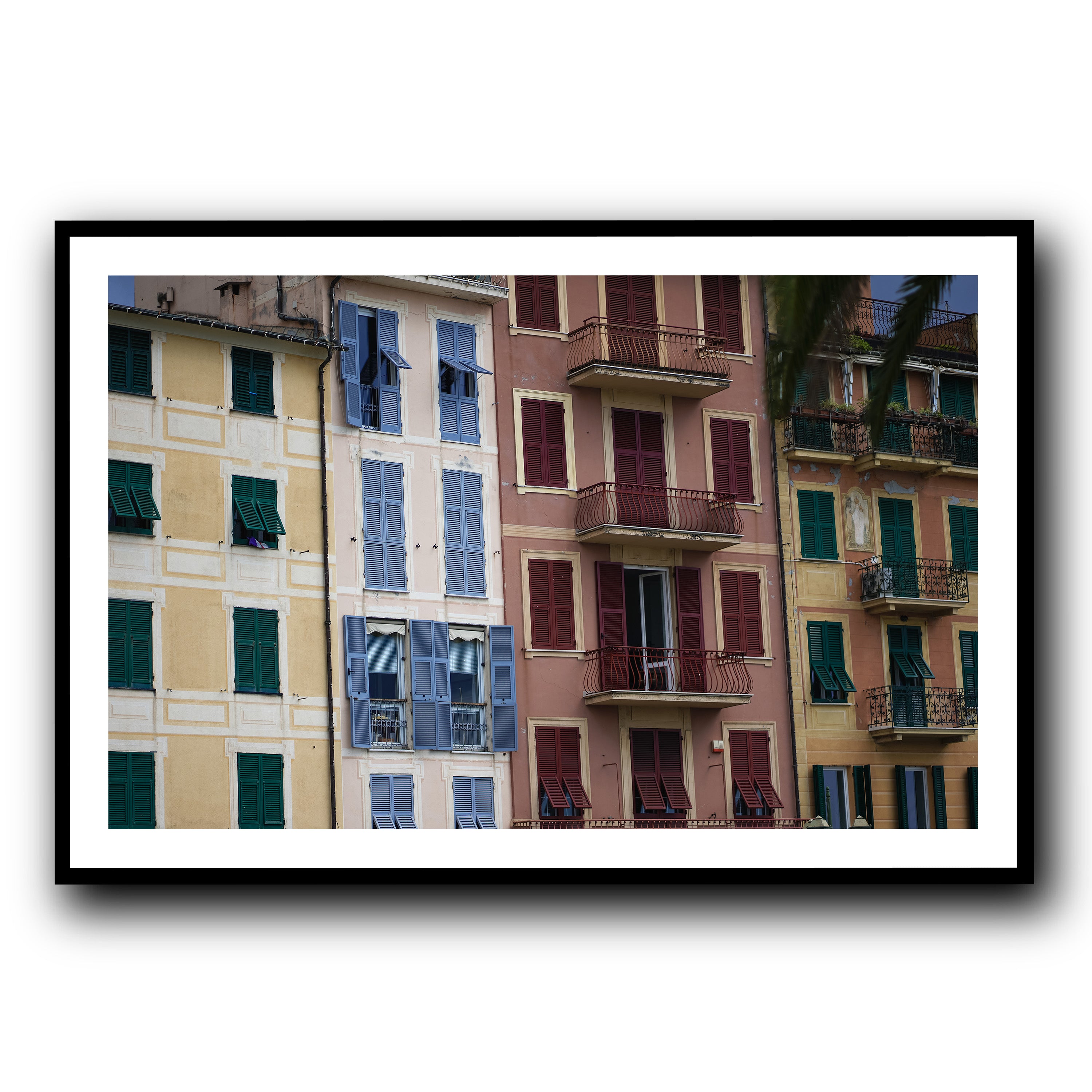 Dolce Vita Colors, Santa Margherita