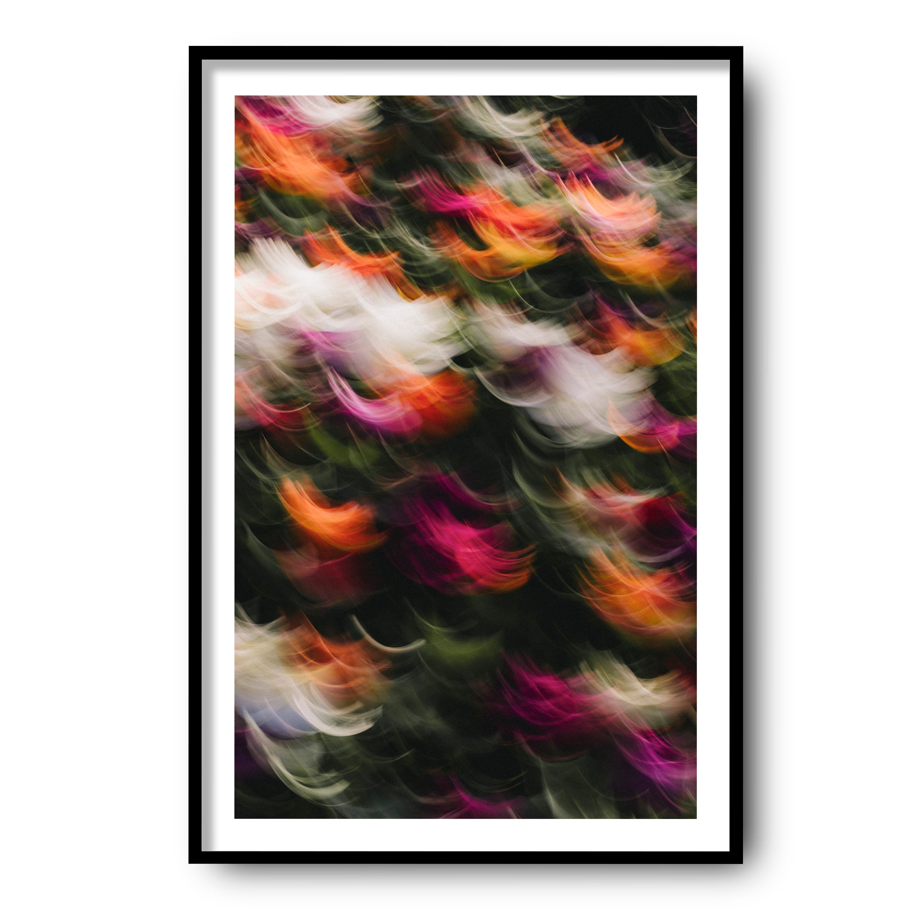 Flowers in Motion 2, Barcelona