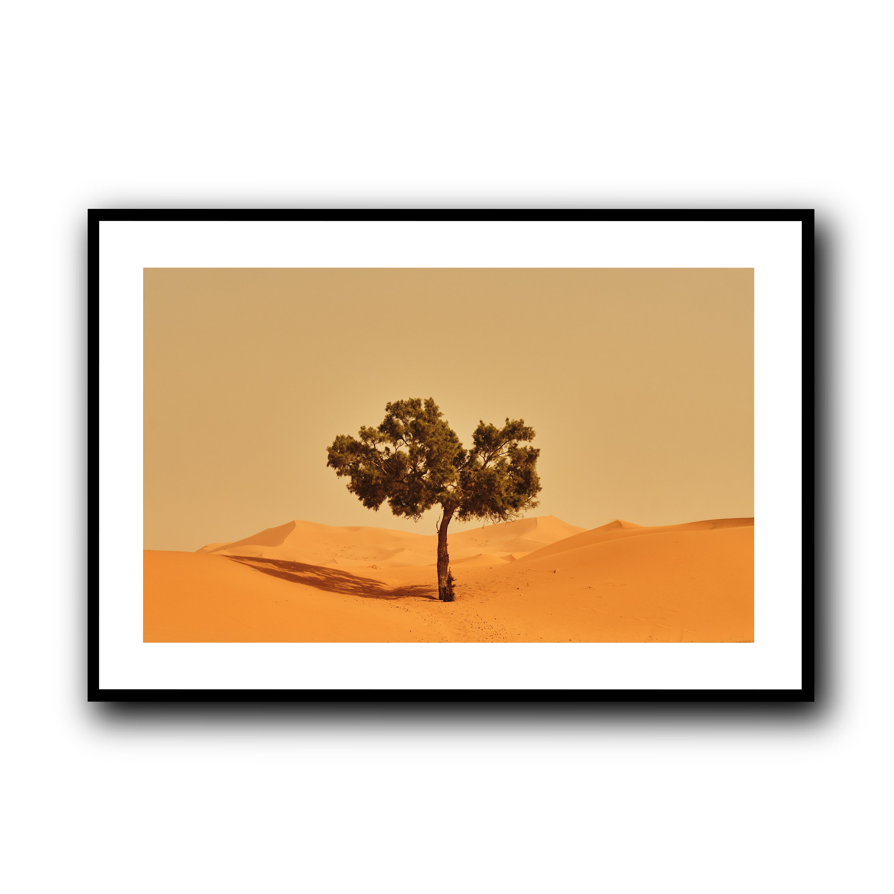 Solitude, Merzouga