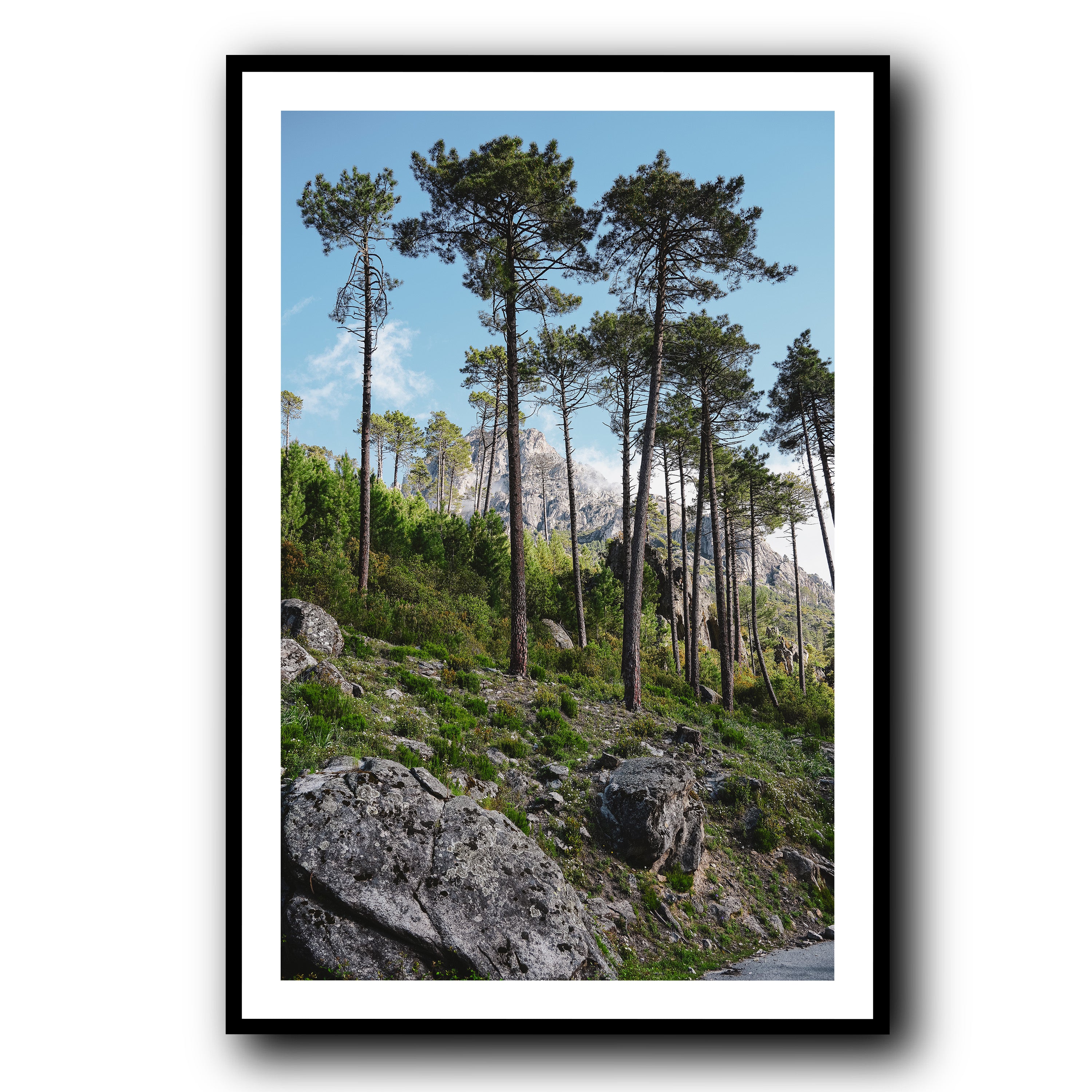 Toward the Sky, Corsica