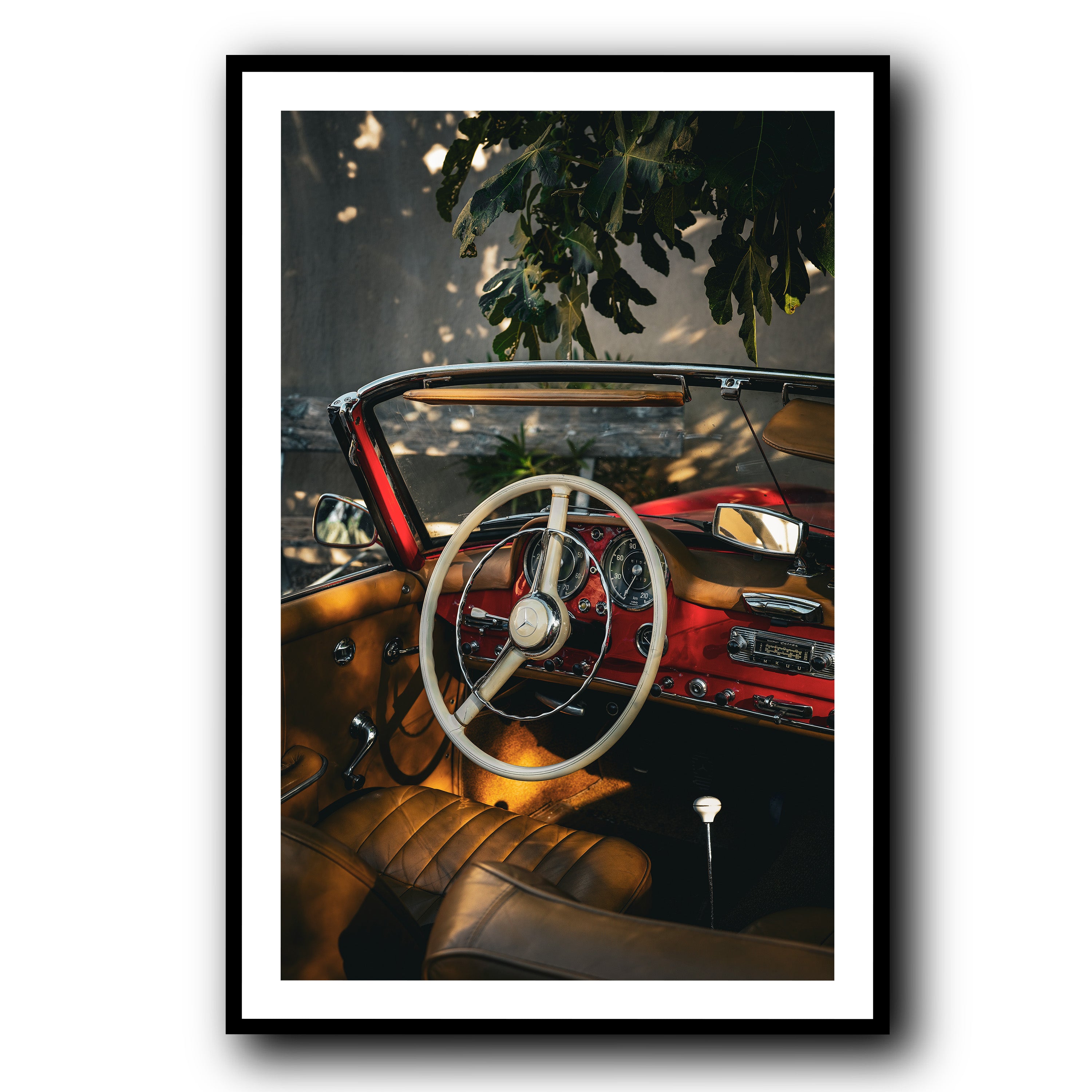 Nap Under the Fig Tree, Provence