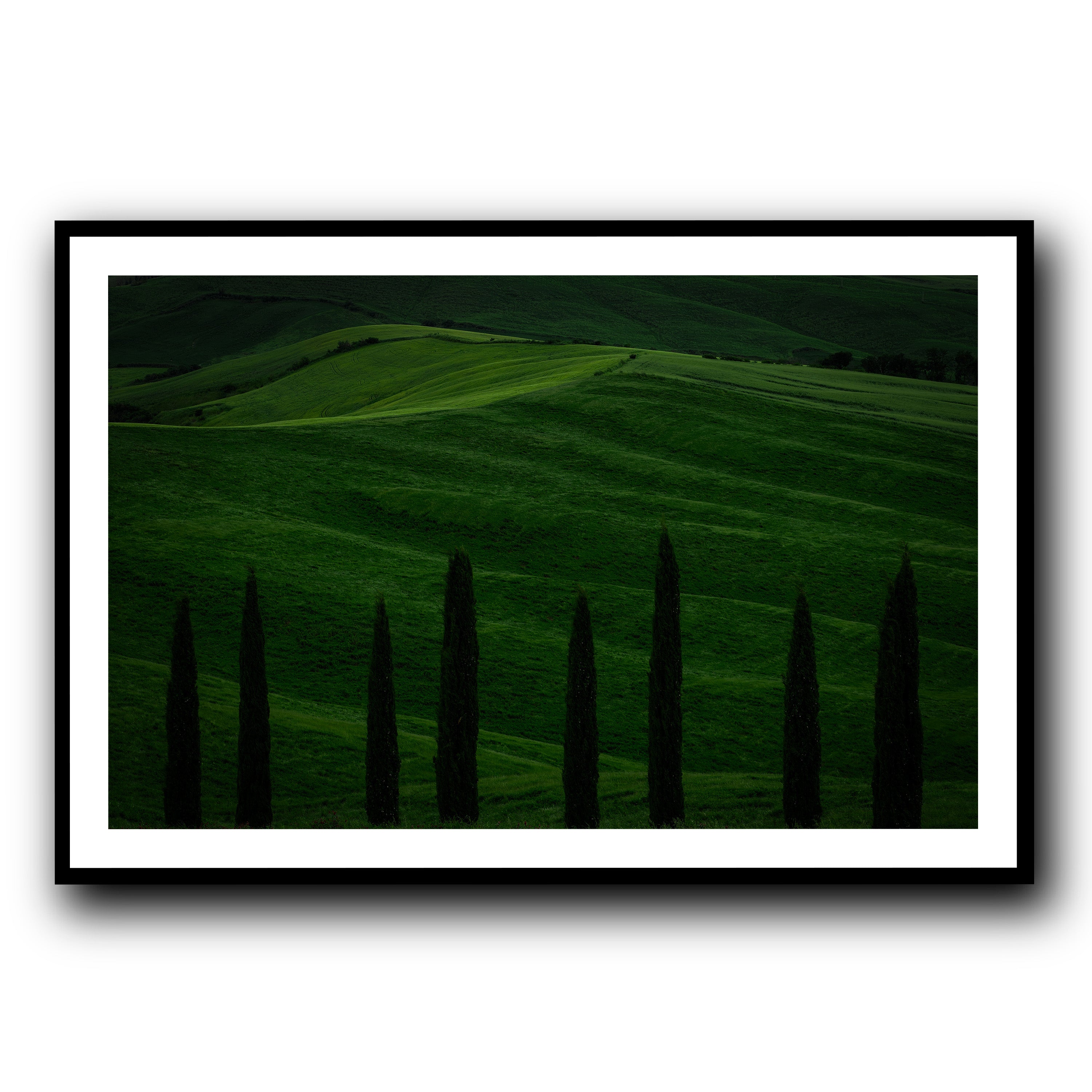 Green Fields, Tuscany