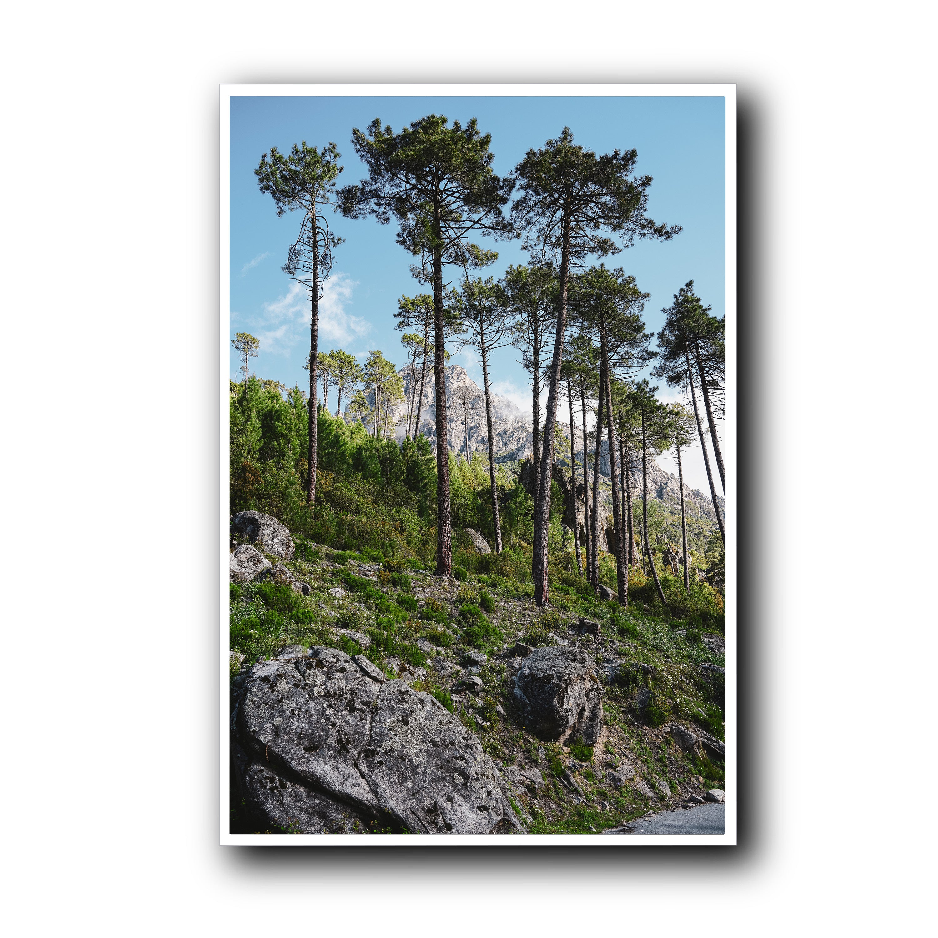 Toward the Sky, Corsica