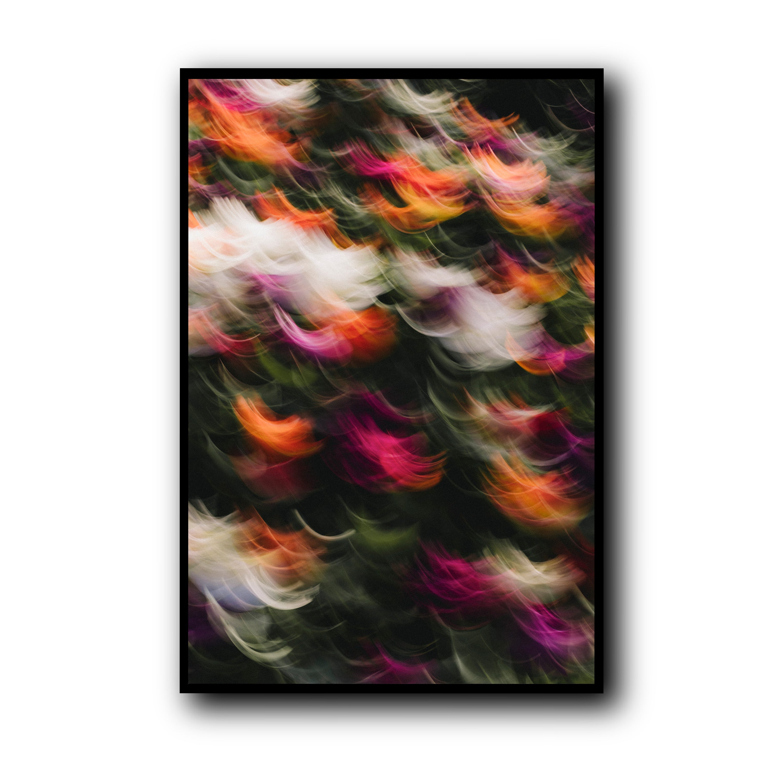 Flowers in Motion 2, Barcelona