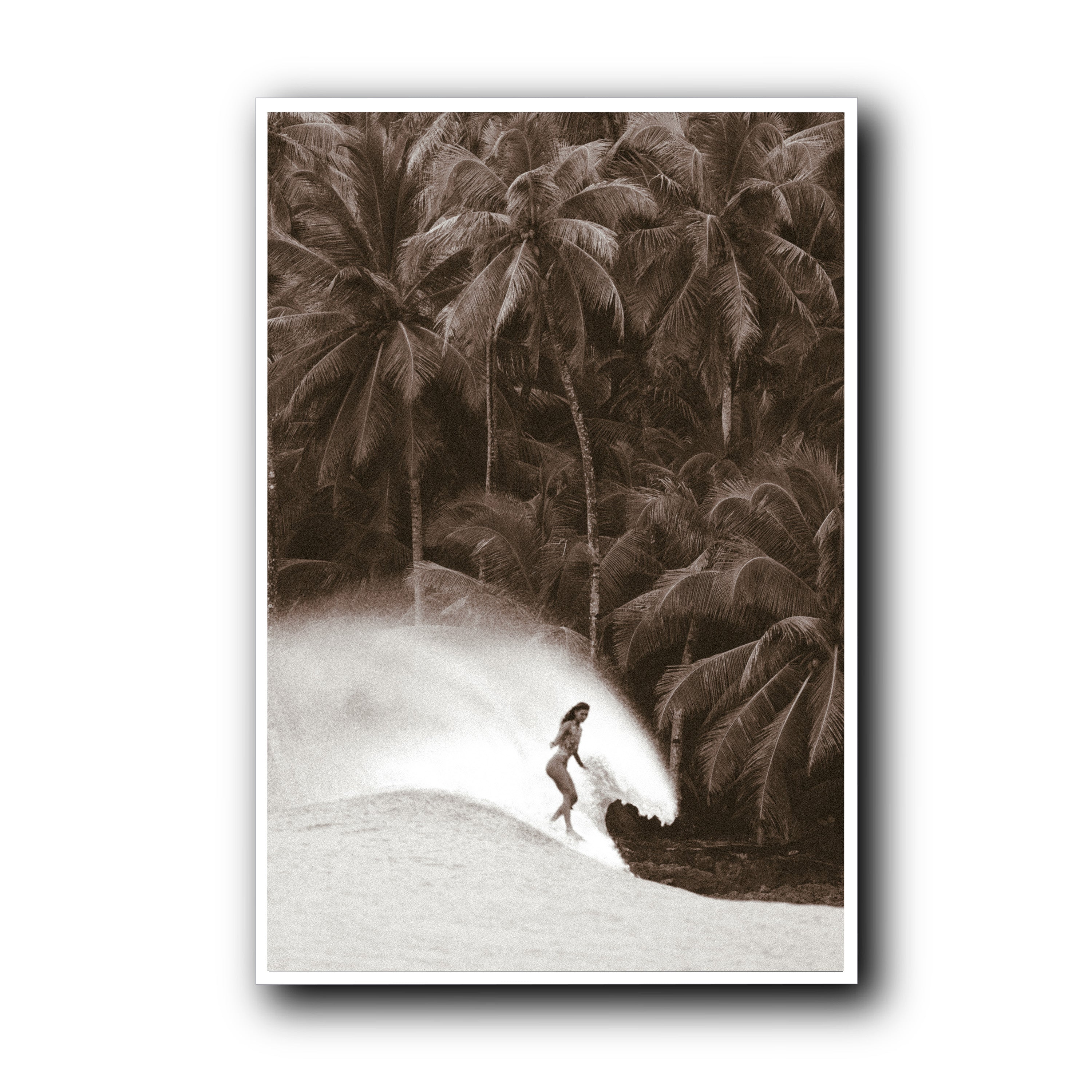 Glide of Grace, Mentawai Island