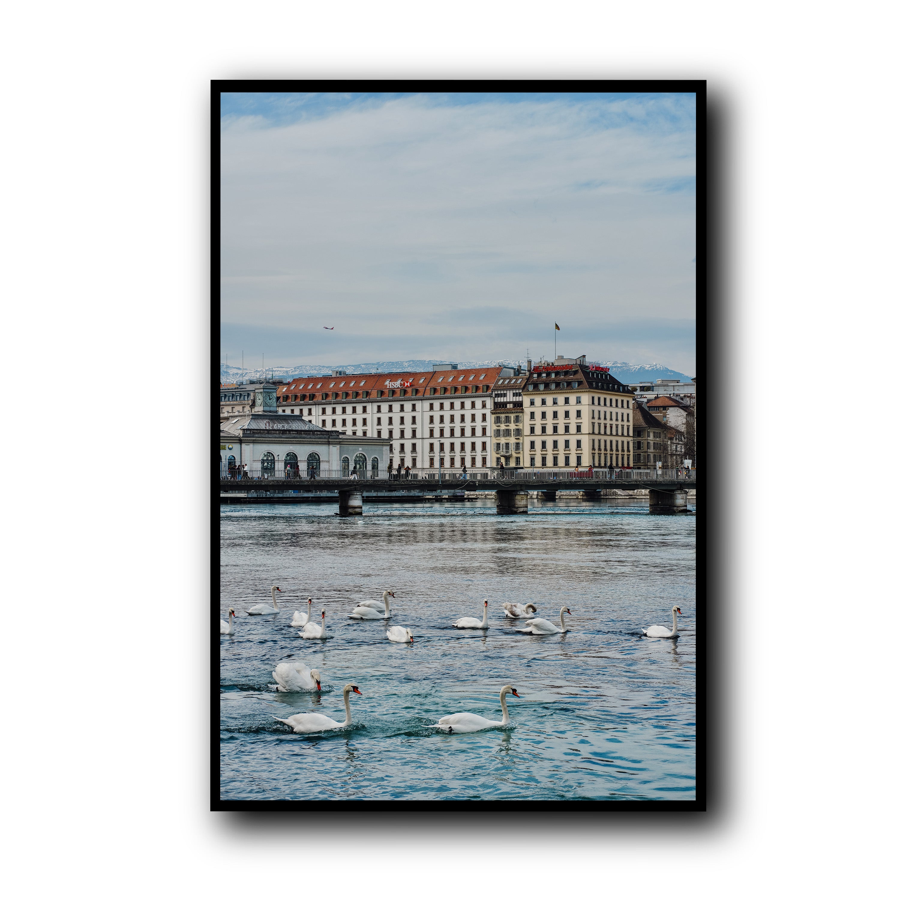 Le Lac des Cygnes, Geneva