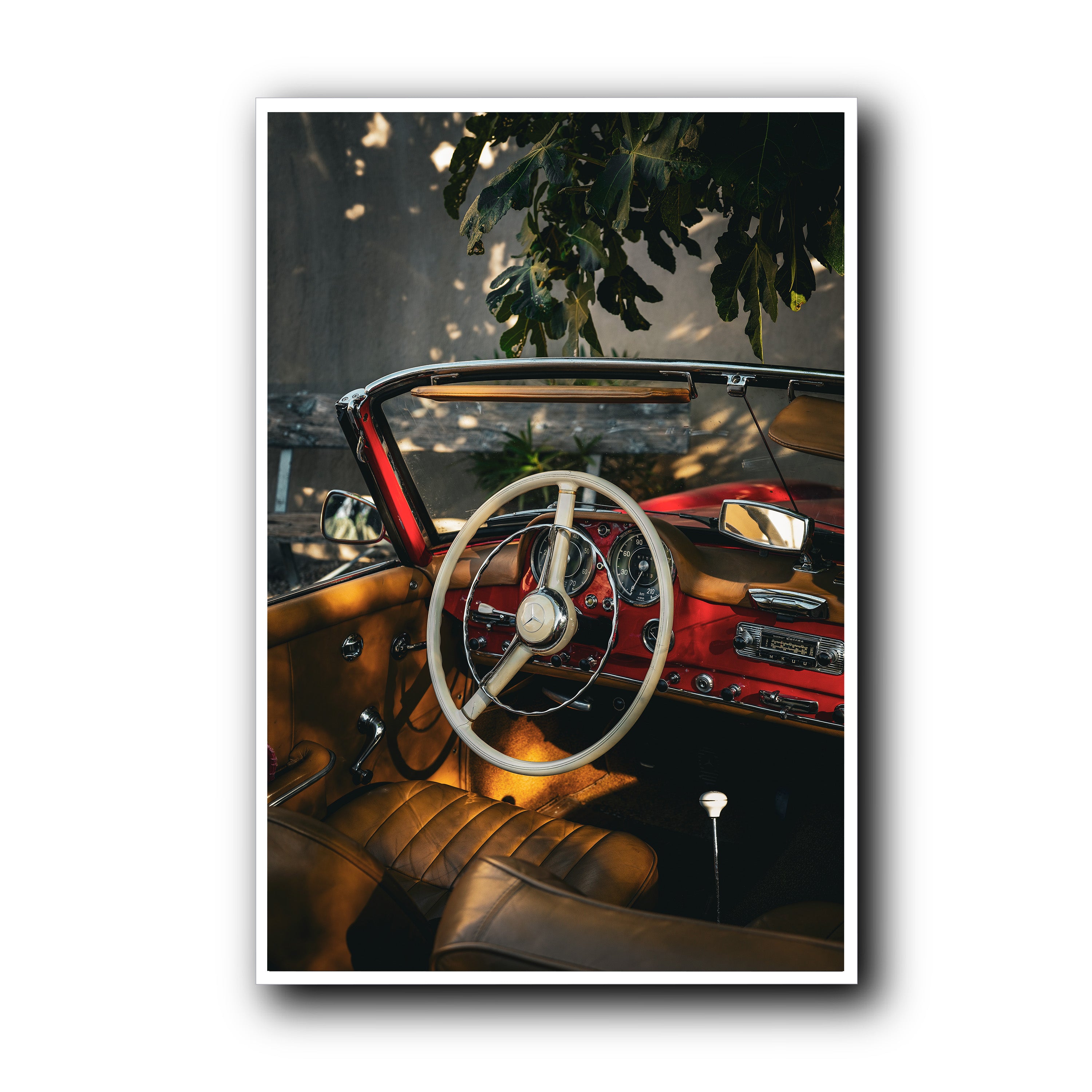 Nap Under the Fig Tree, Provence