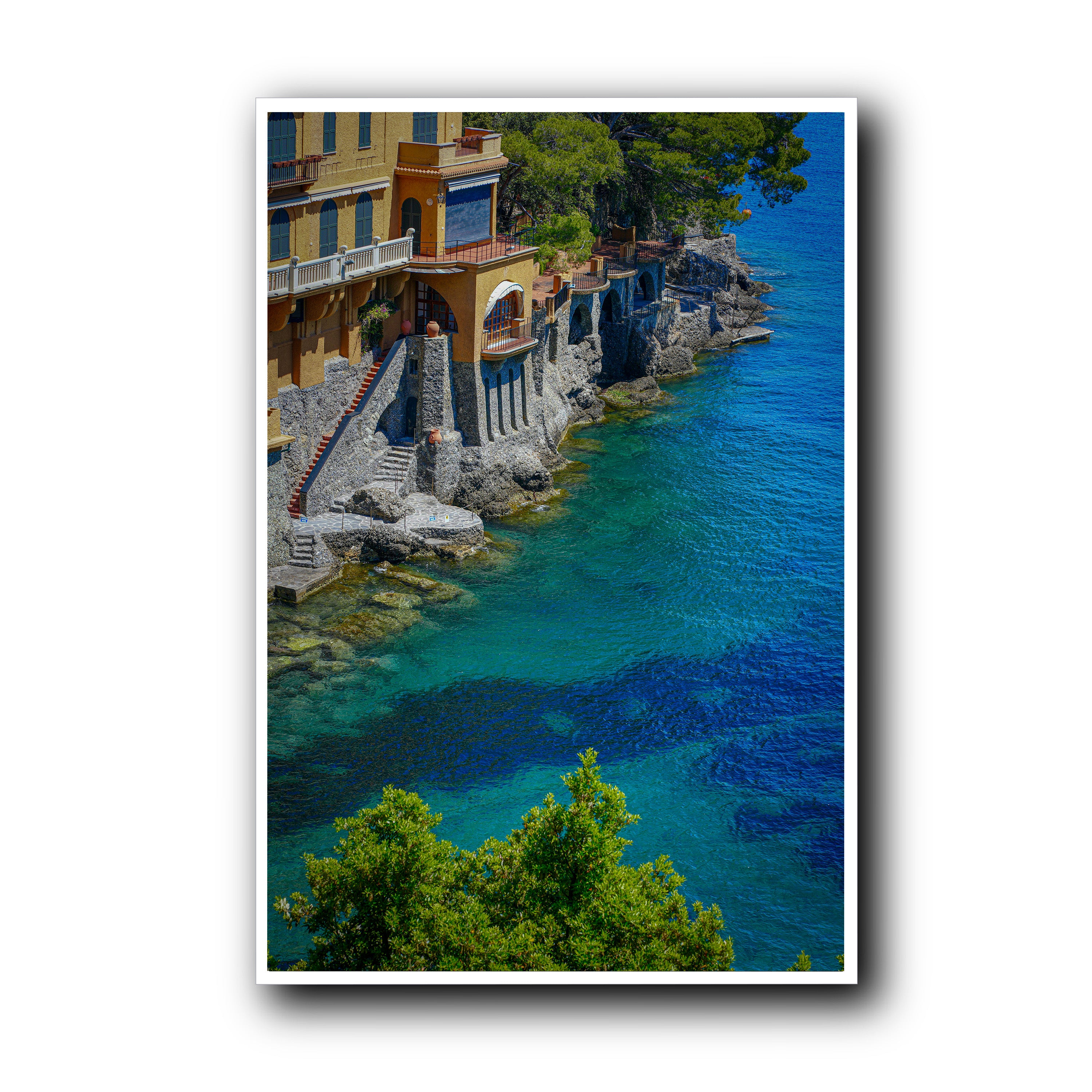 Morning Dive, Portofino