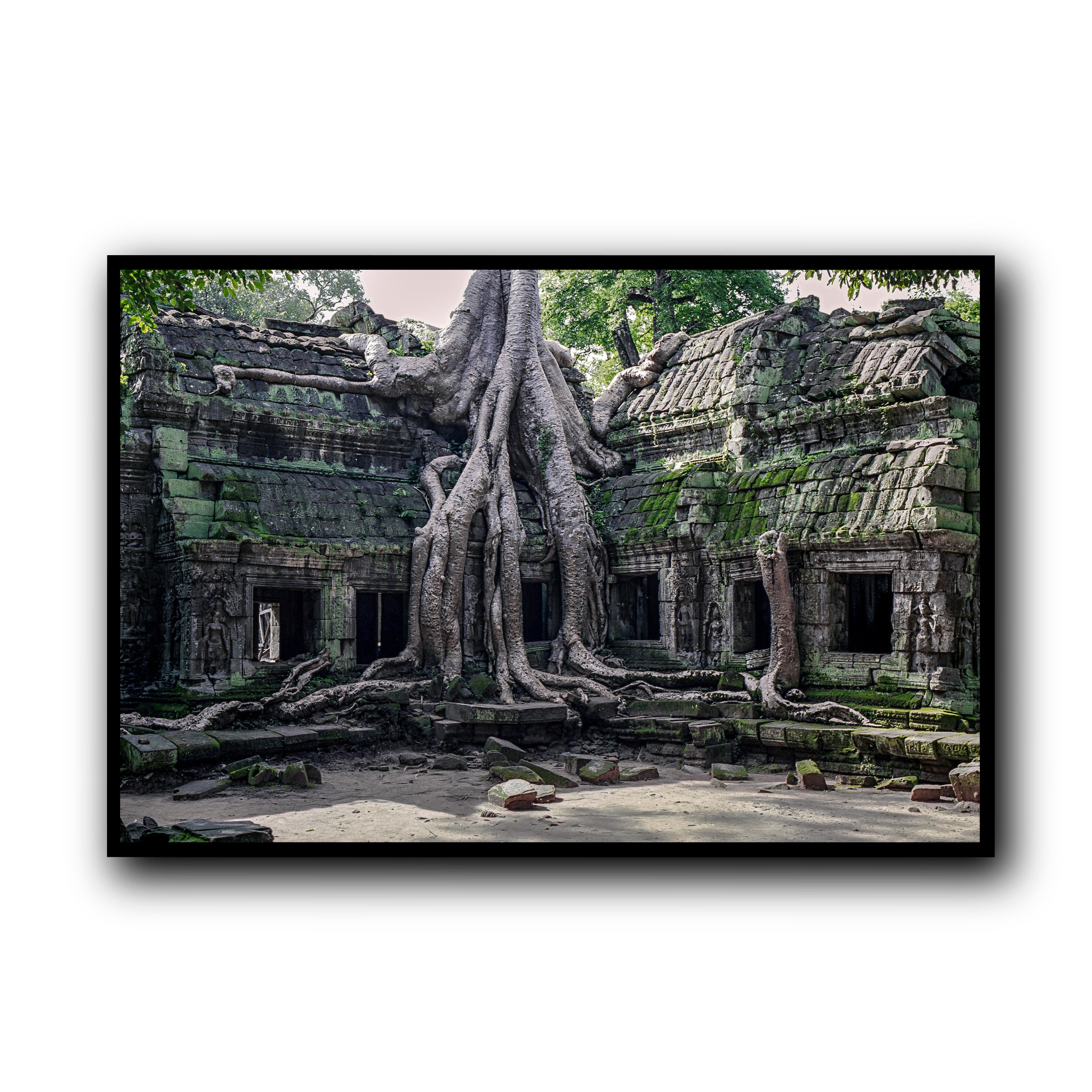 Ta Prohm, Siam Reap