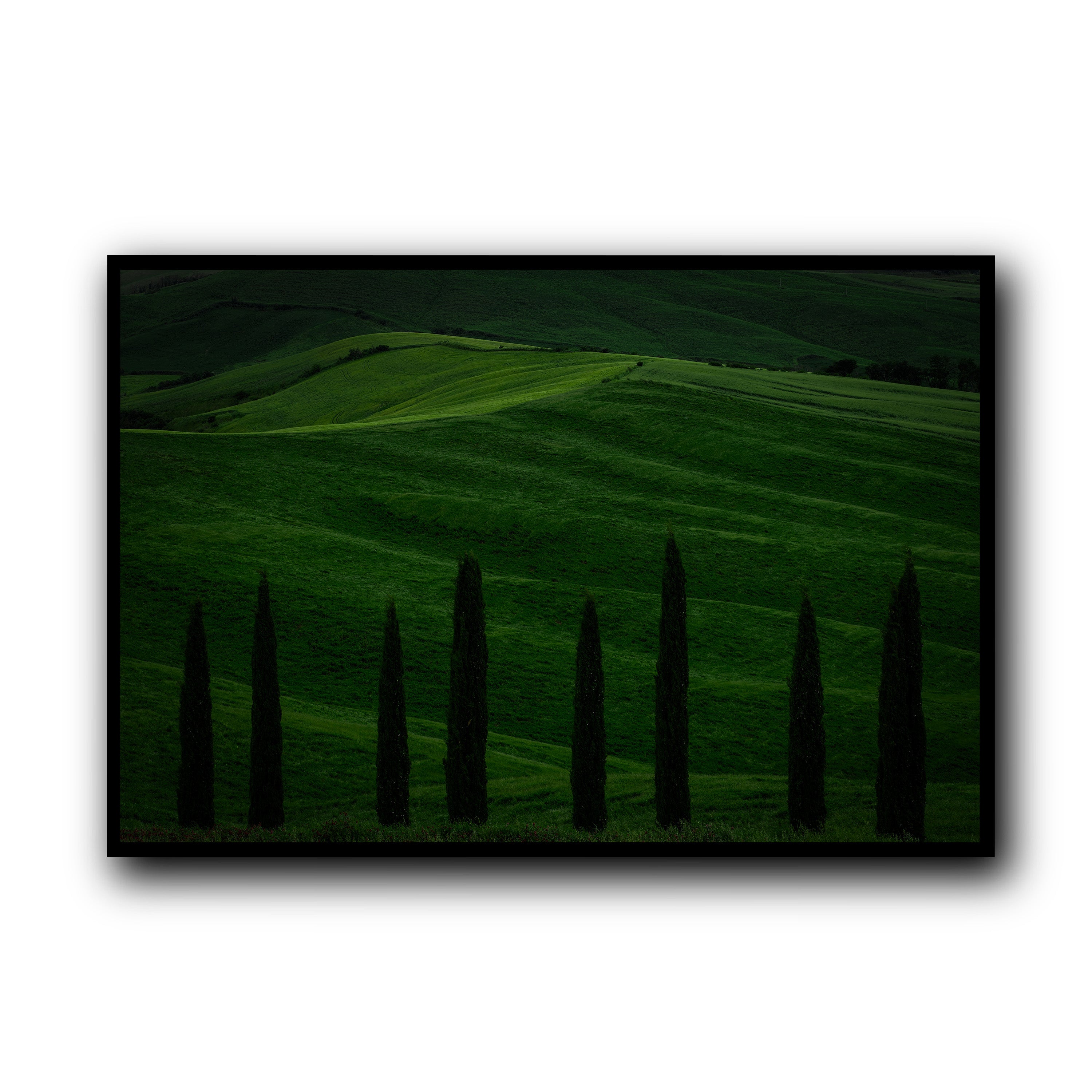 Green Fields, Tuscany