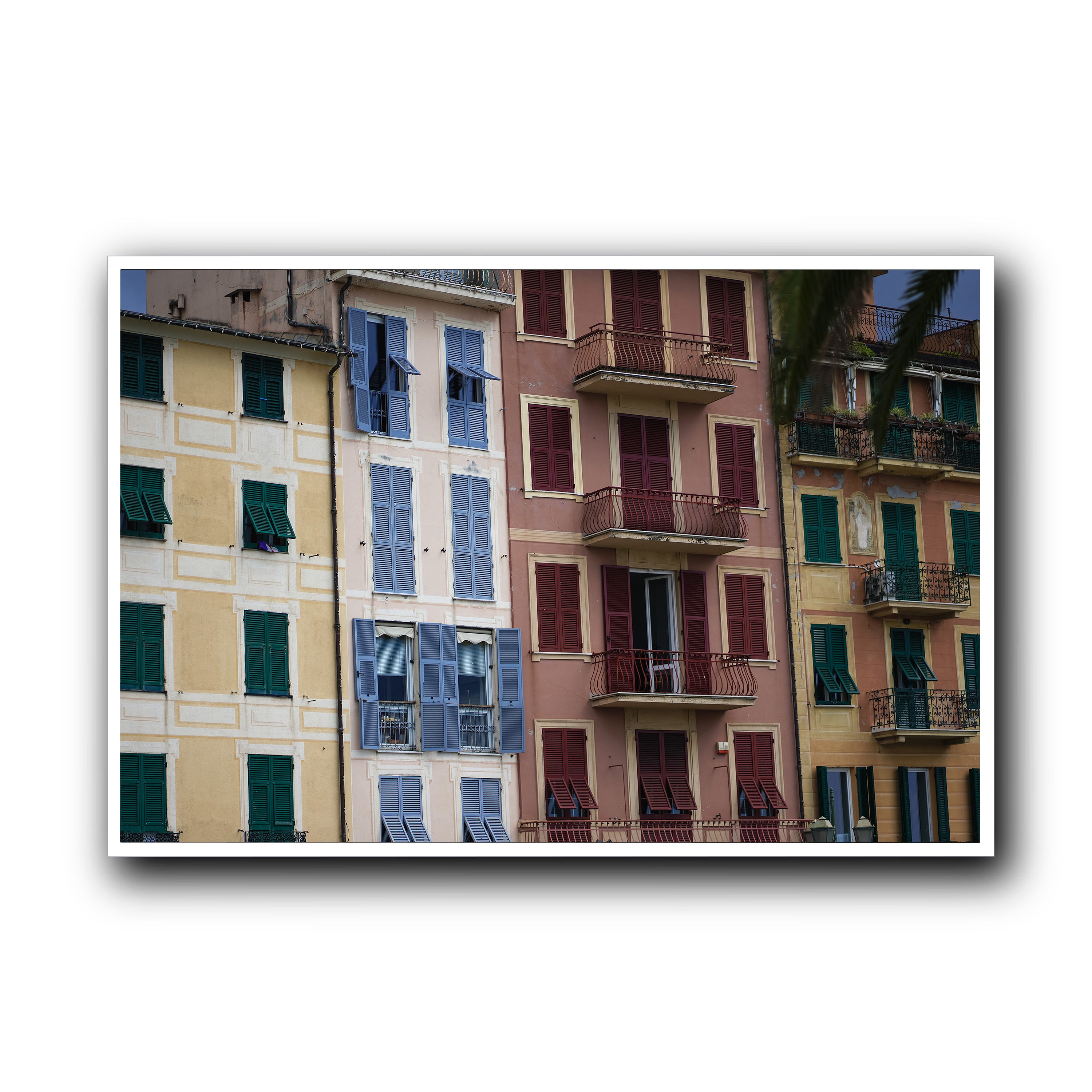 Dolce Vita Colors, Santa Margherita