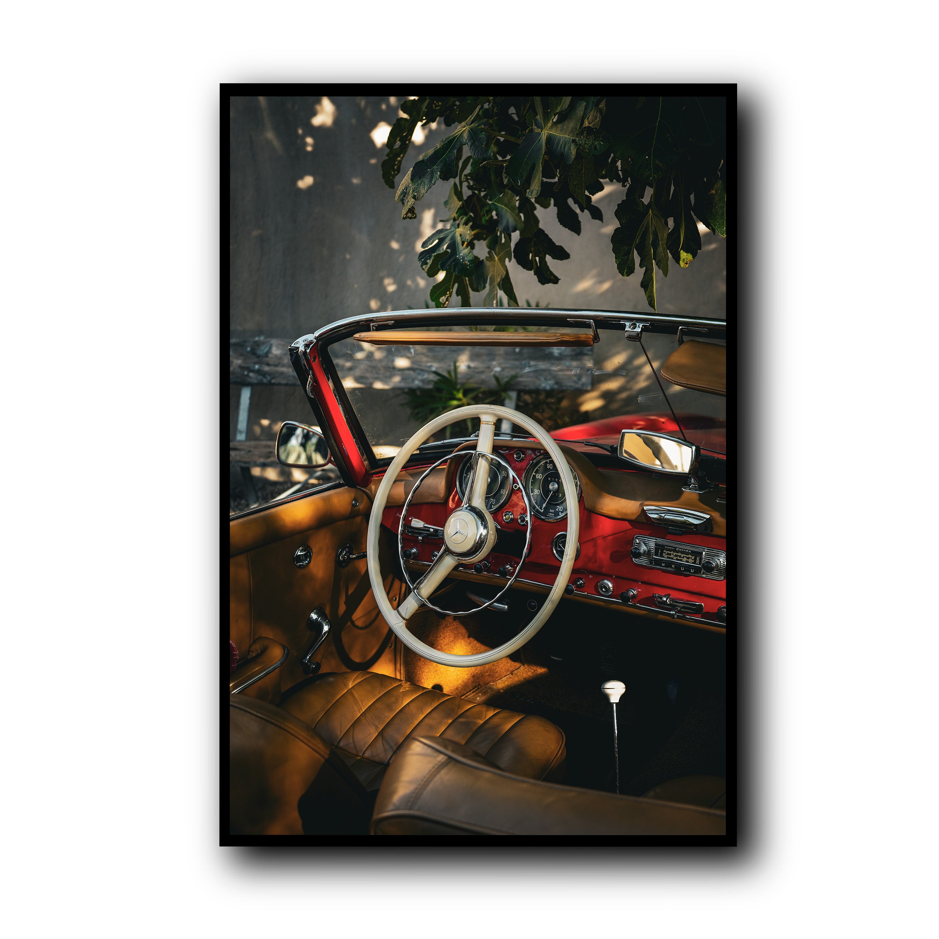 Nap Under the Fig Tree, Provence