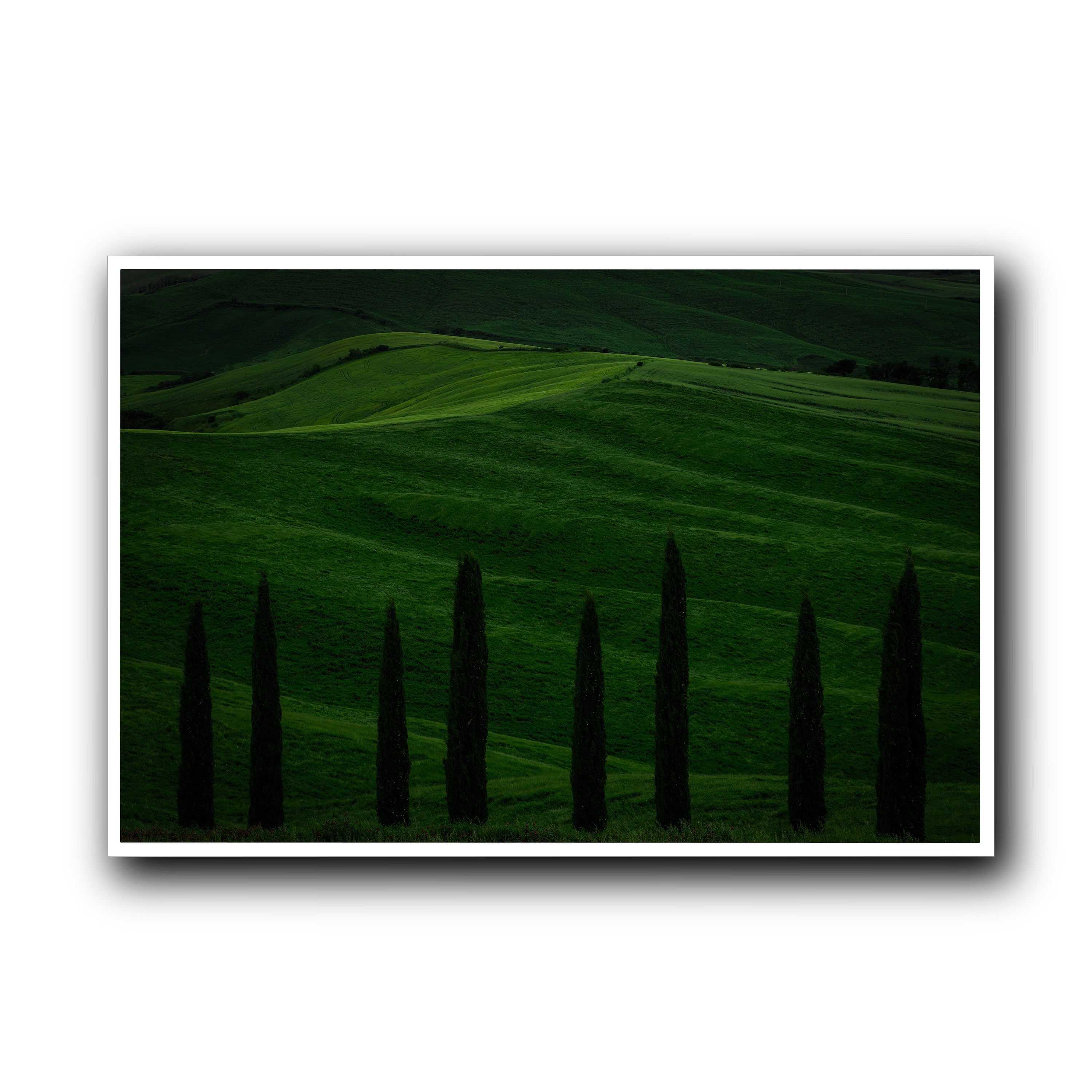 Green Fields, Tuscany