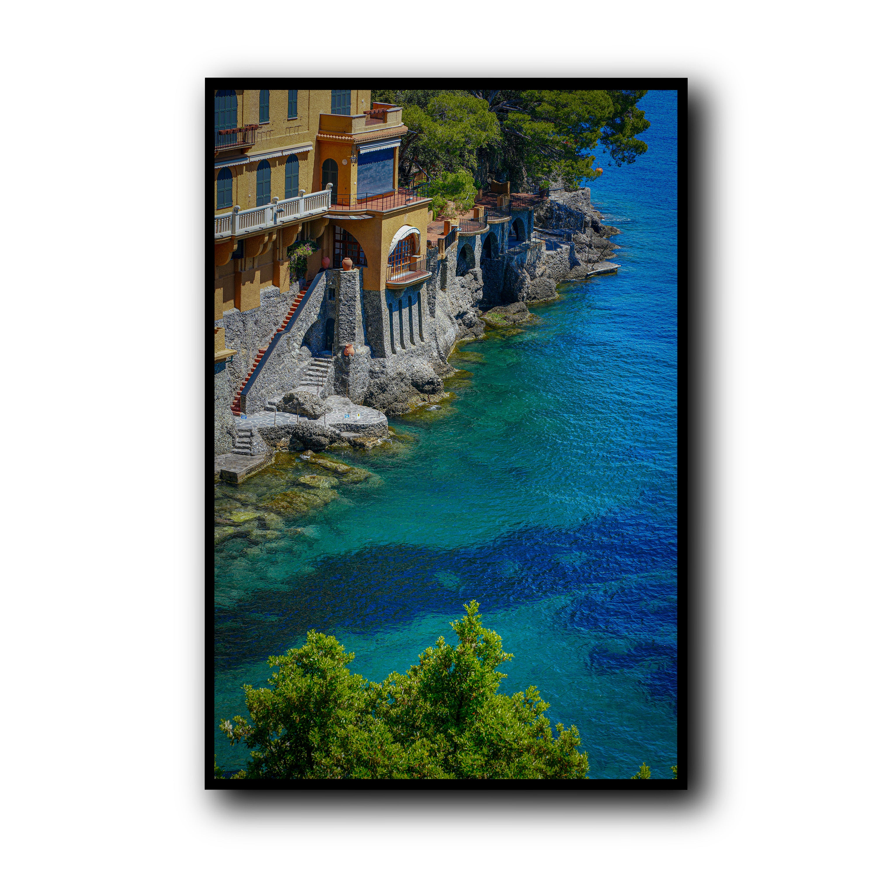 Morning Dive, Portofino