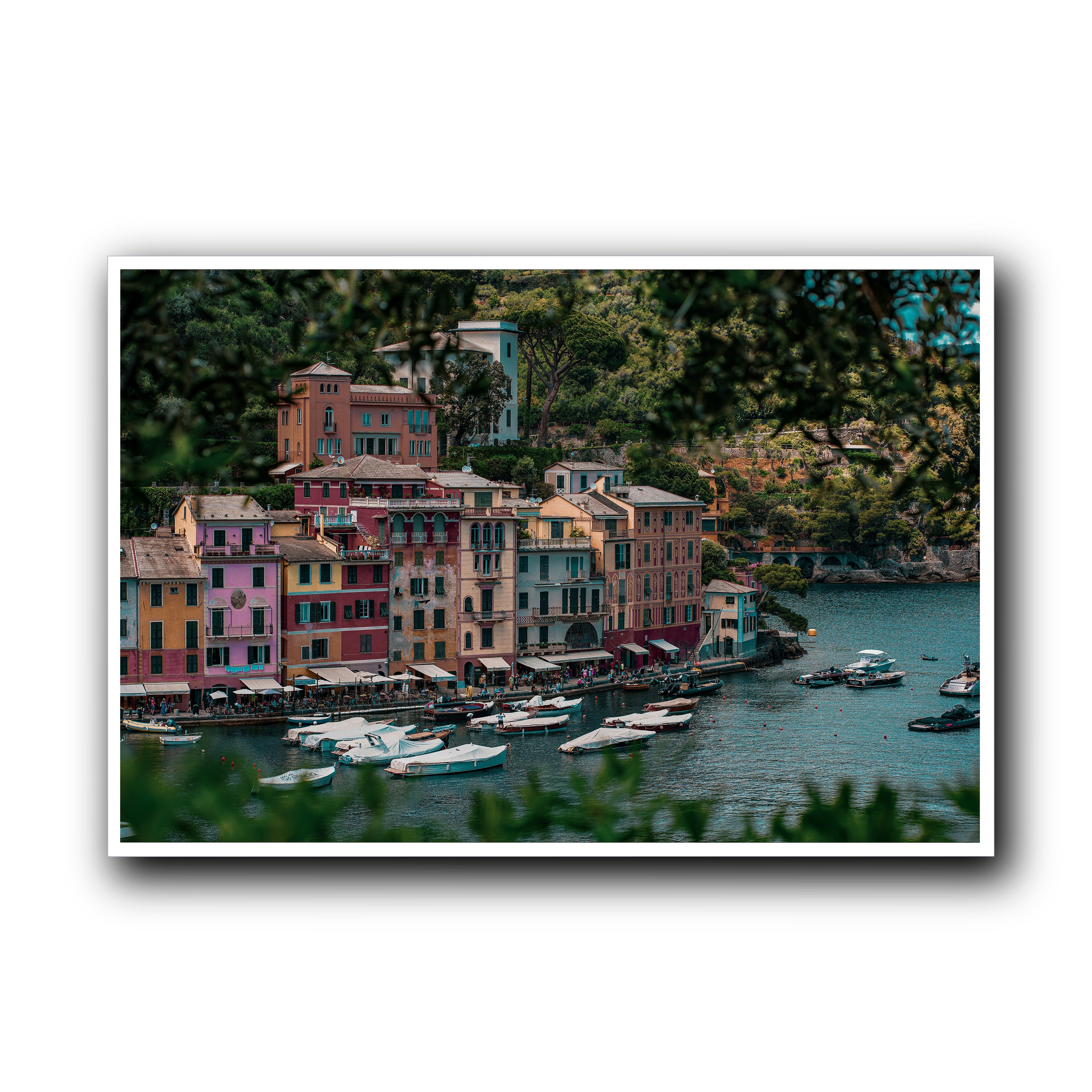 Colorful Landscape, Portofino