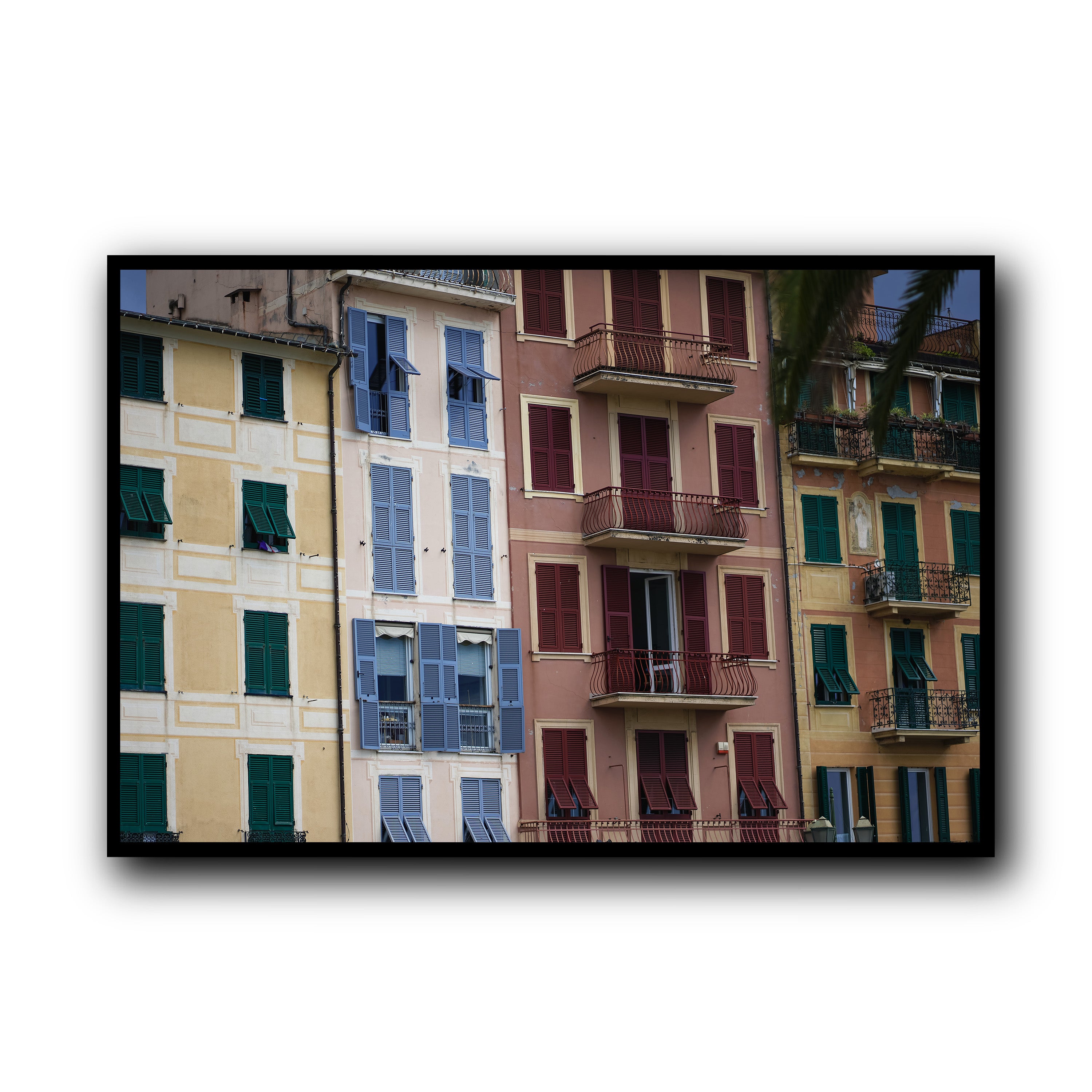 Dolce Vita Colors, Santa Margherita