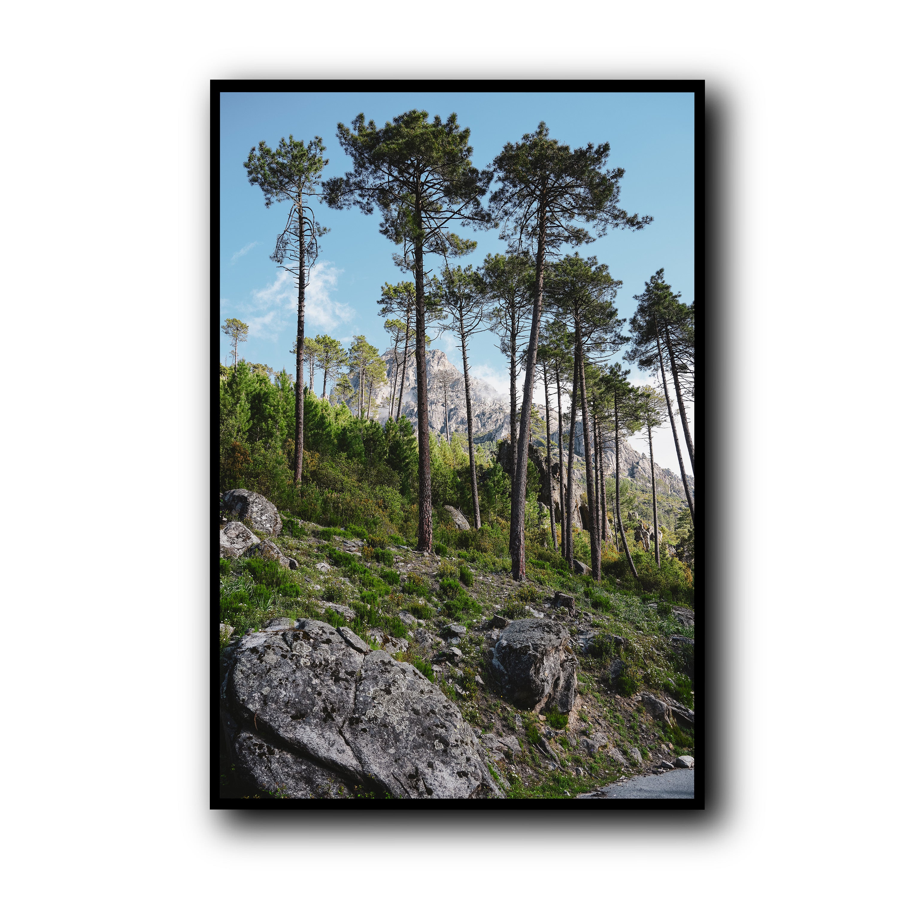 Toward the Sky, Corsica