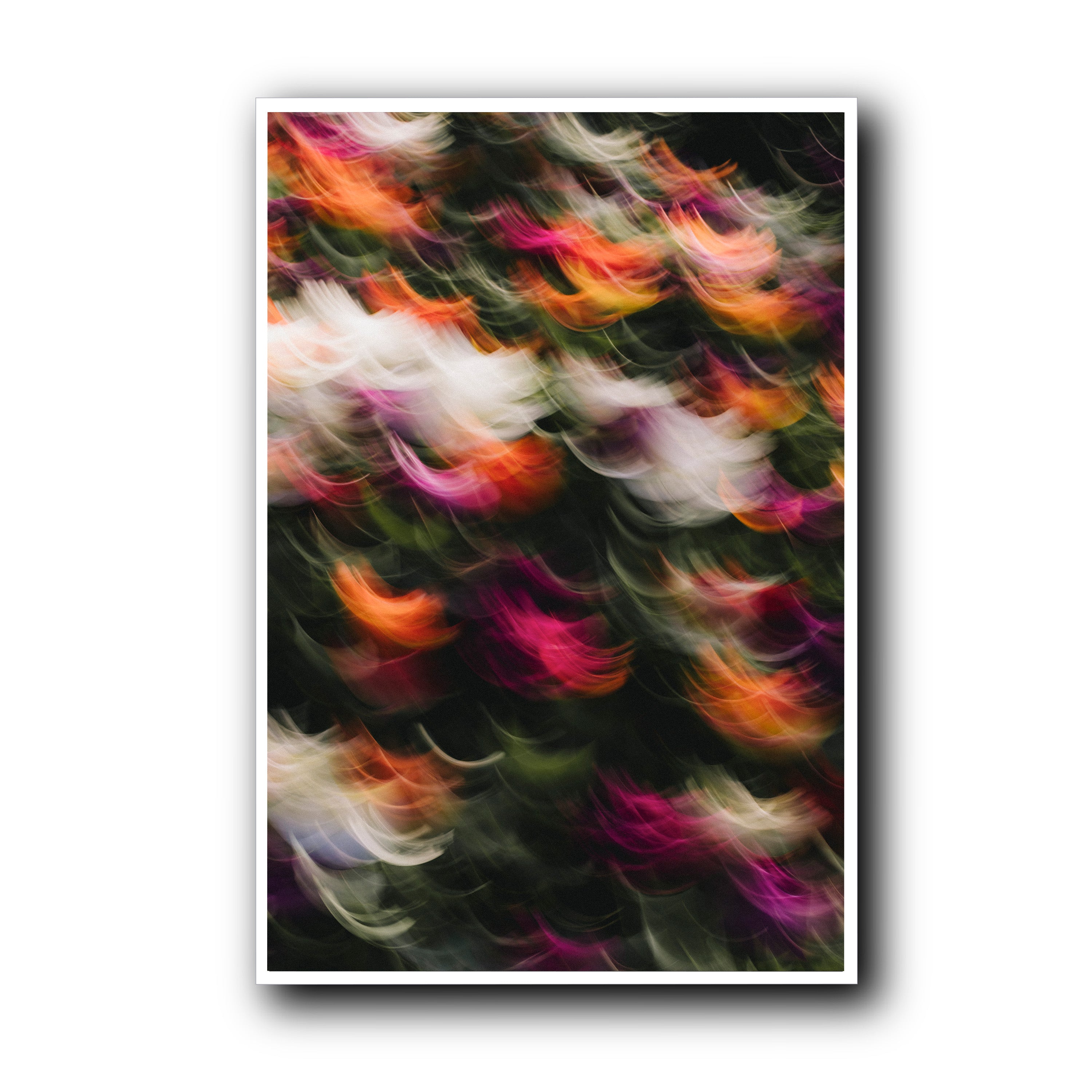 Flowers in Motion 2, Barcelona