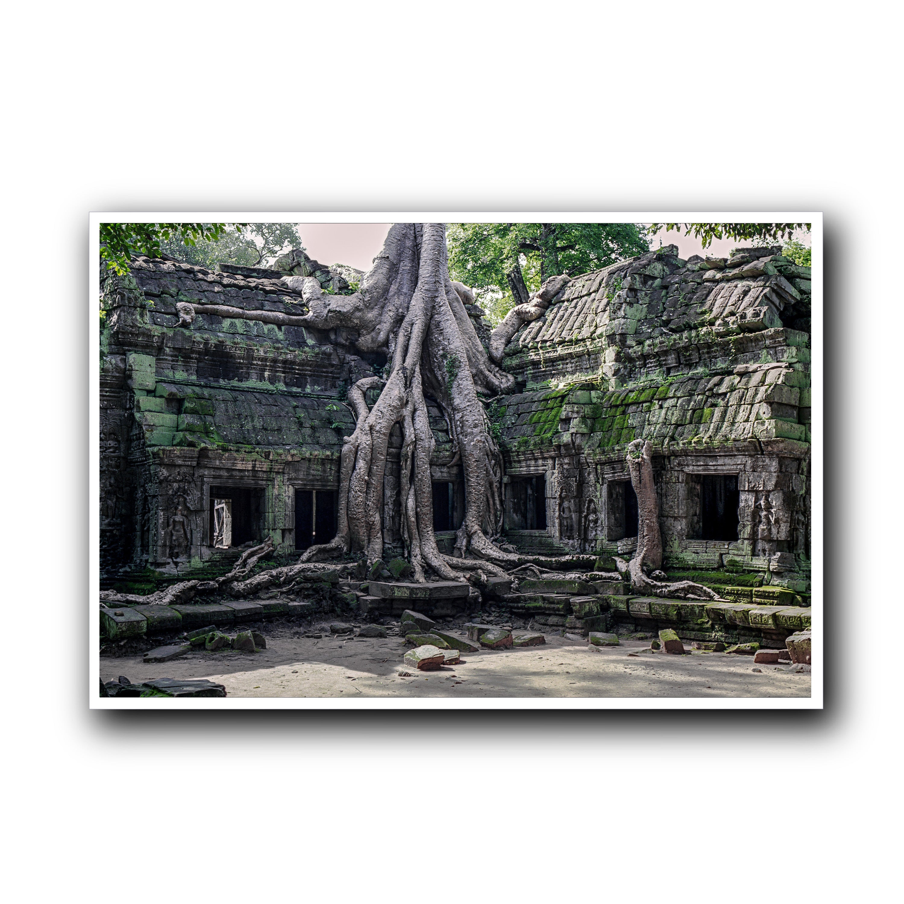 Ta Prohm, Siam Reap