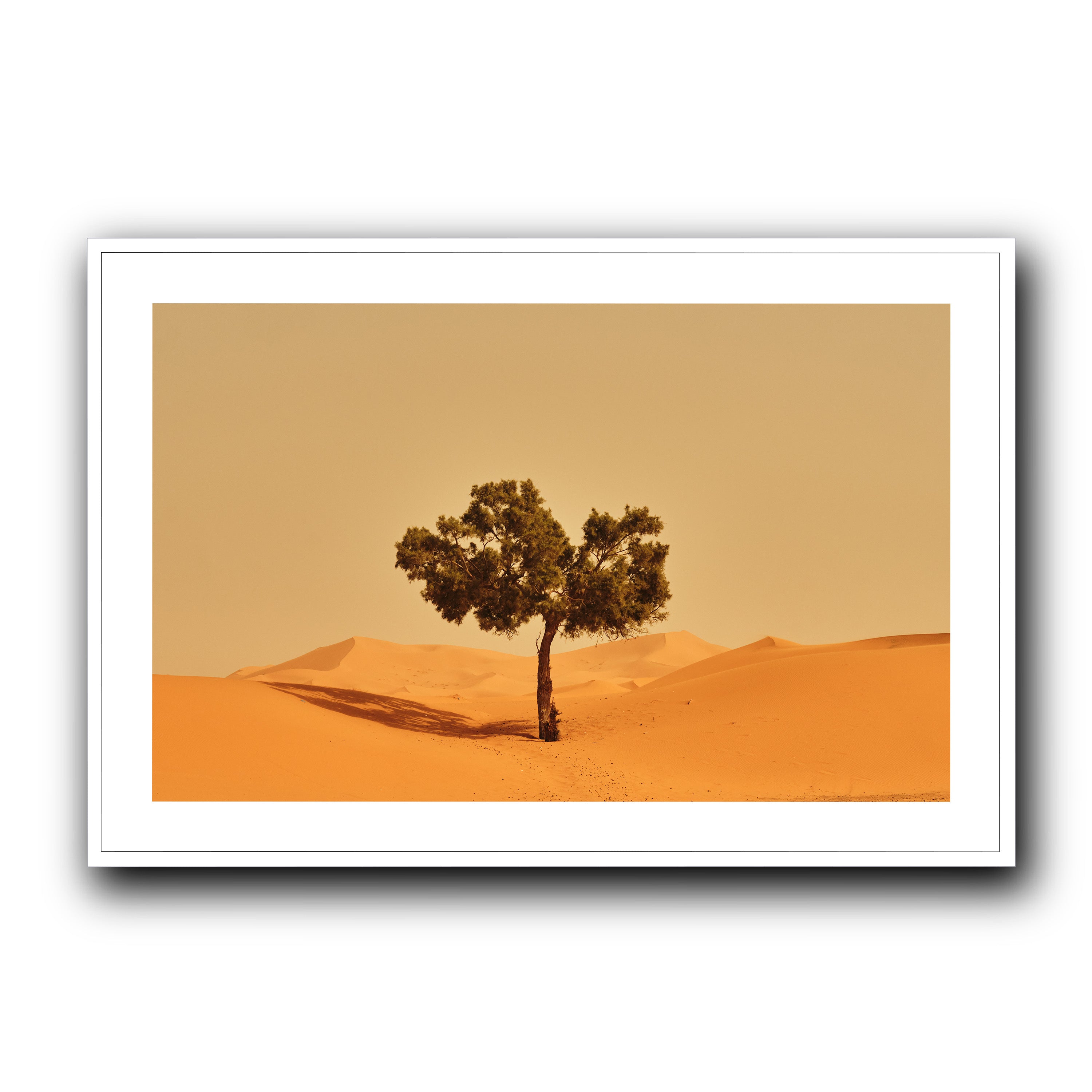 Solitude, Merzouga