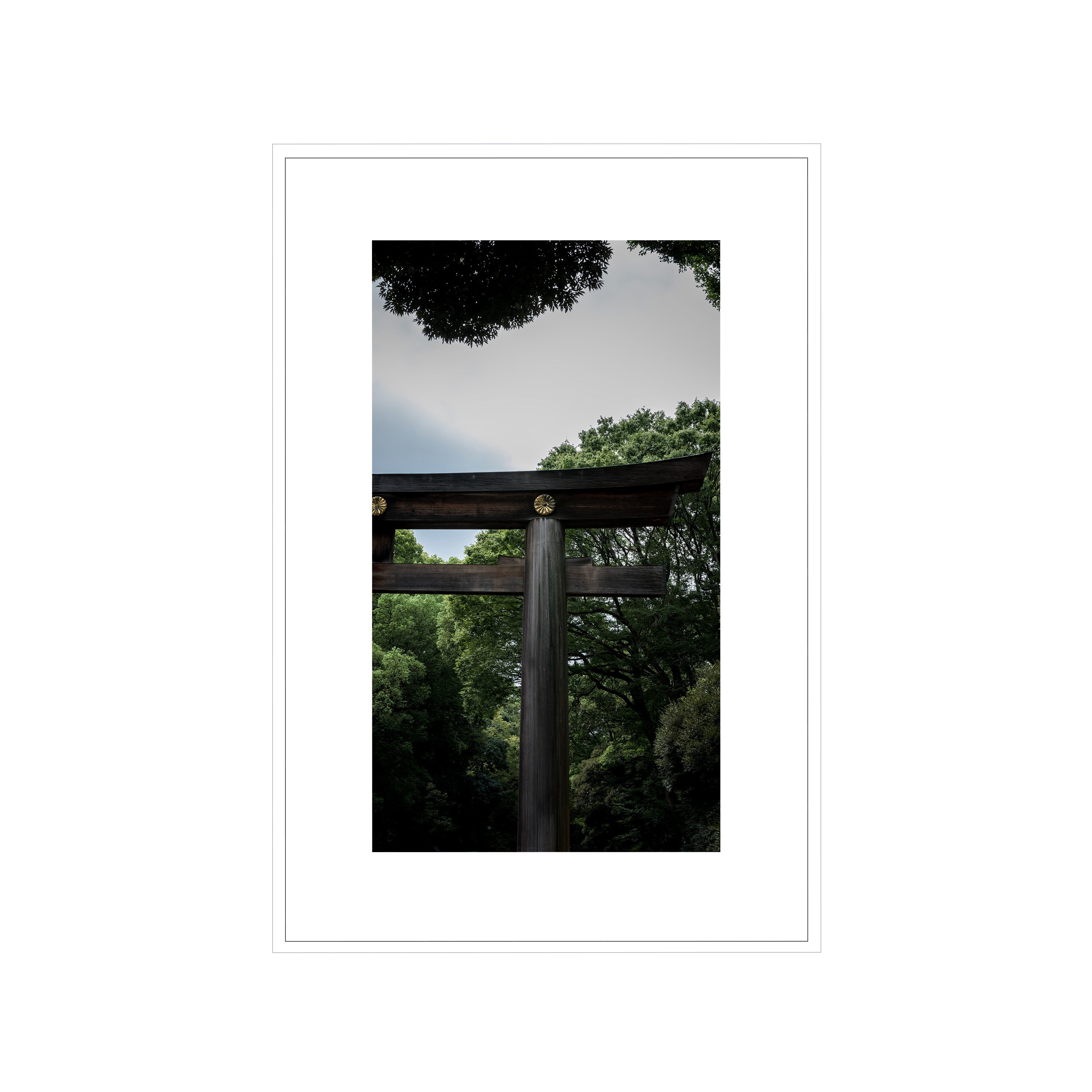 The Door, Tokyo