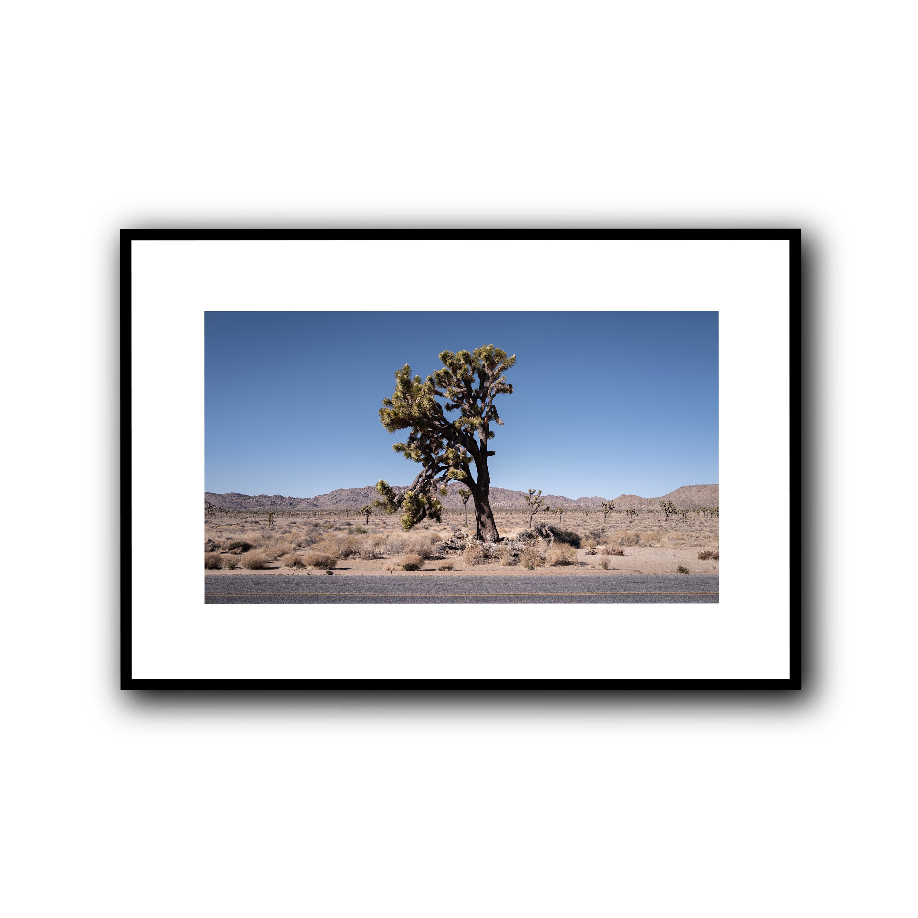 The Tree, California