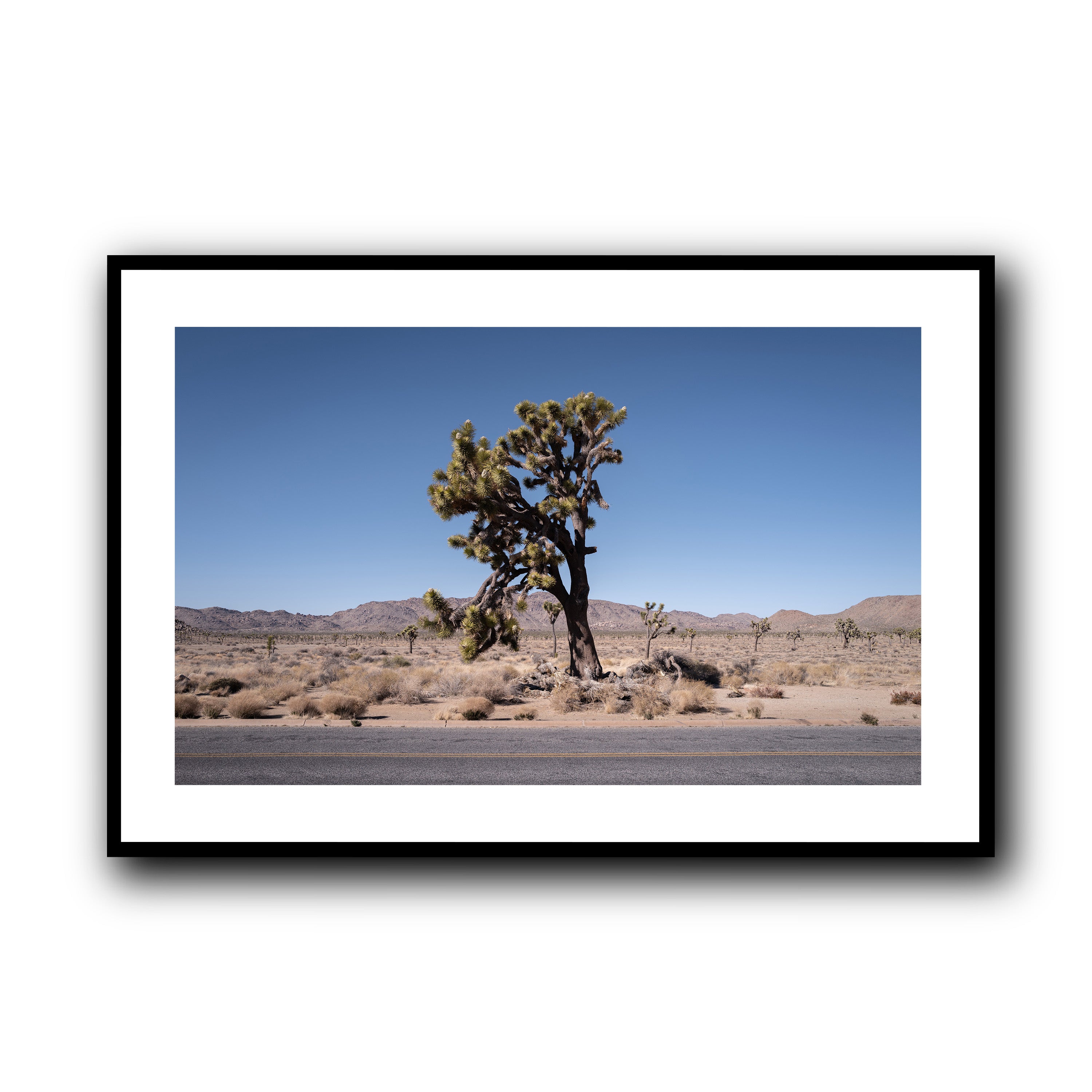 The Tree, California