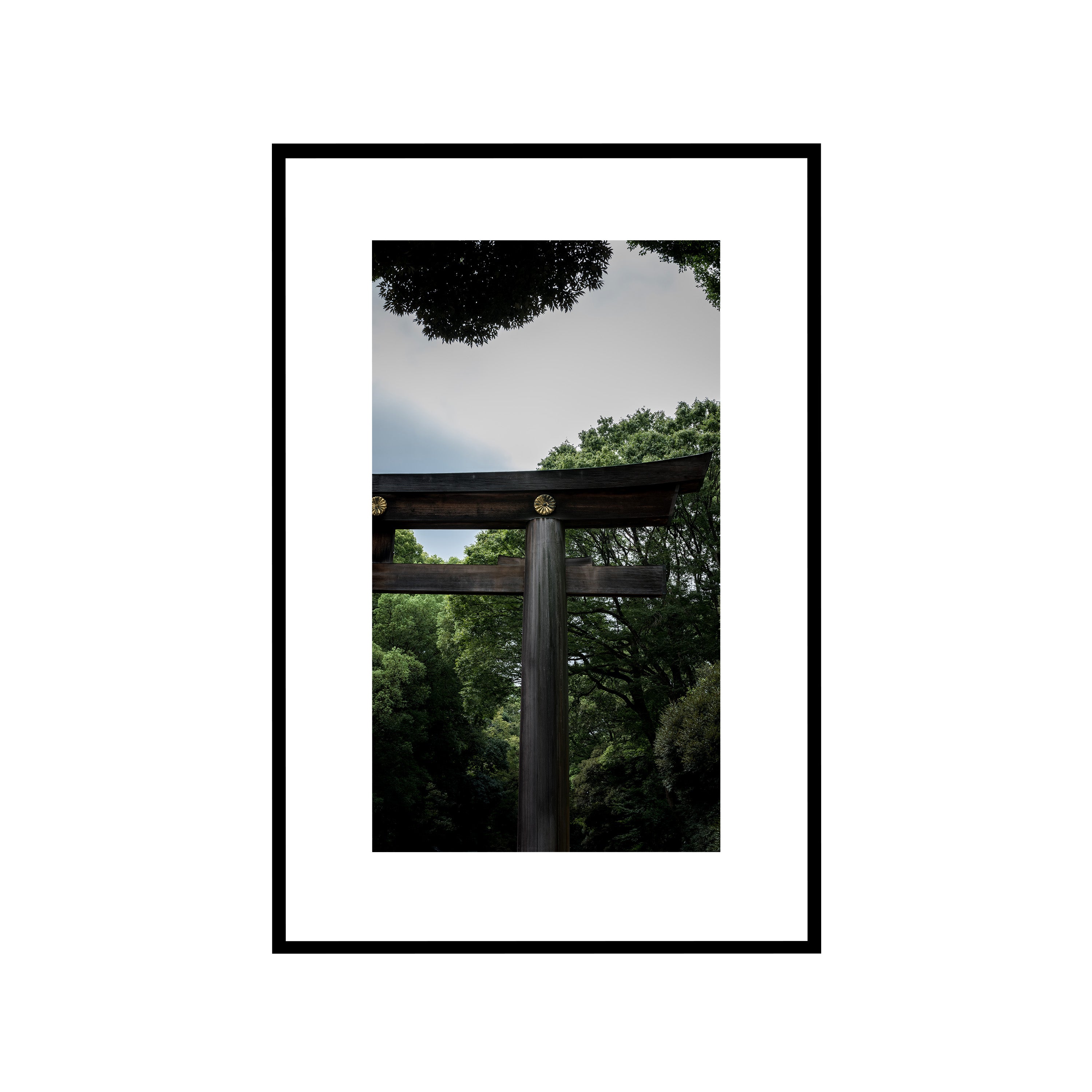 The Door, Tokyo