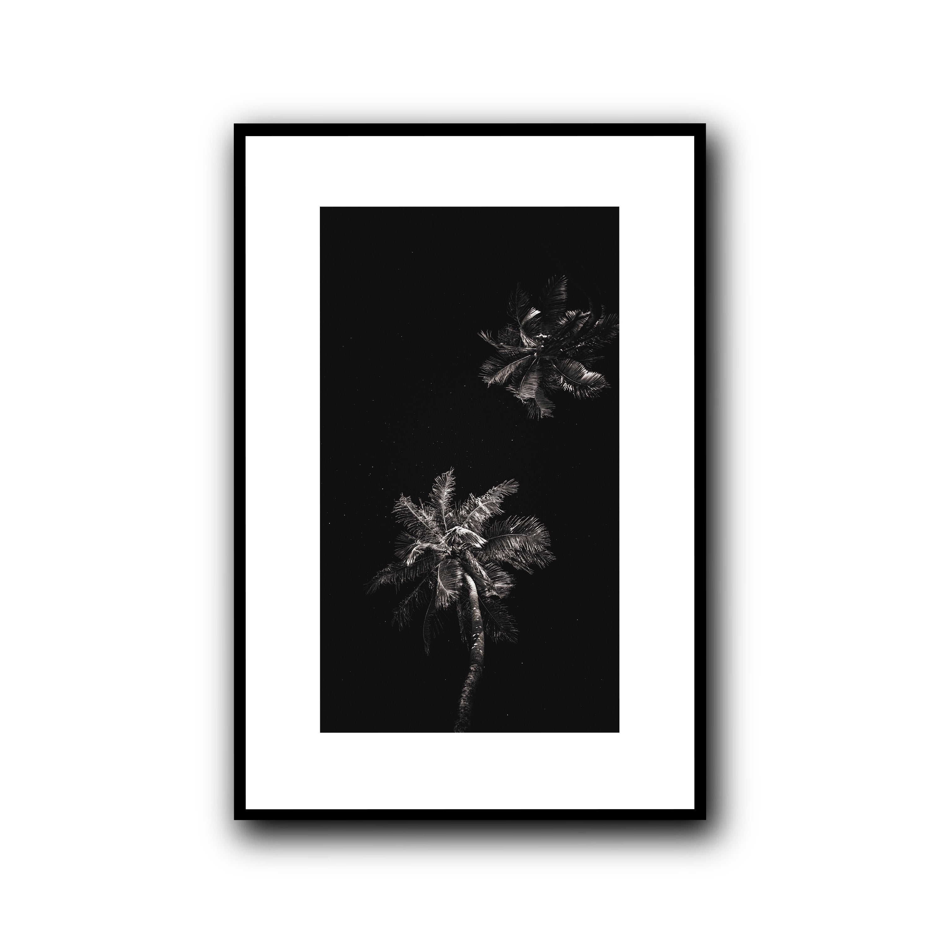 Dark Coco, Tahiti