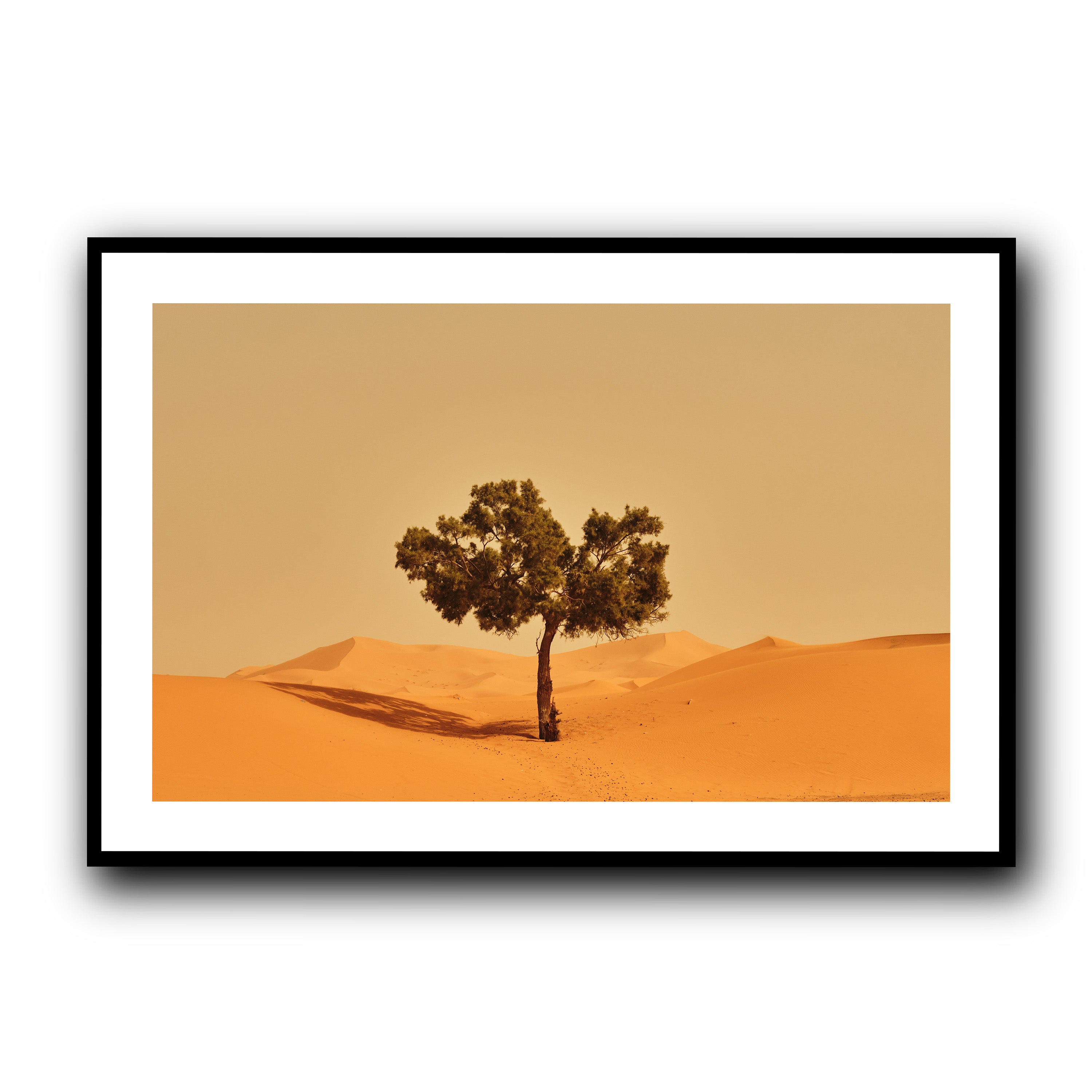 Solitude, Merzouga