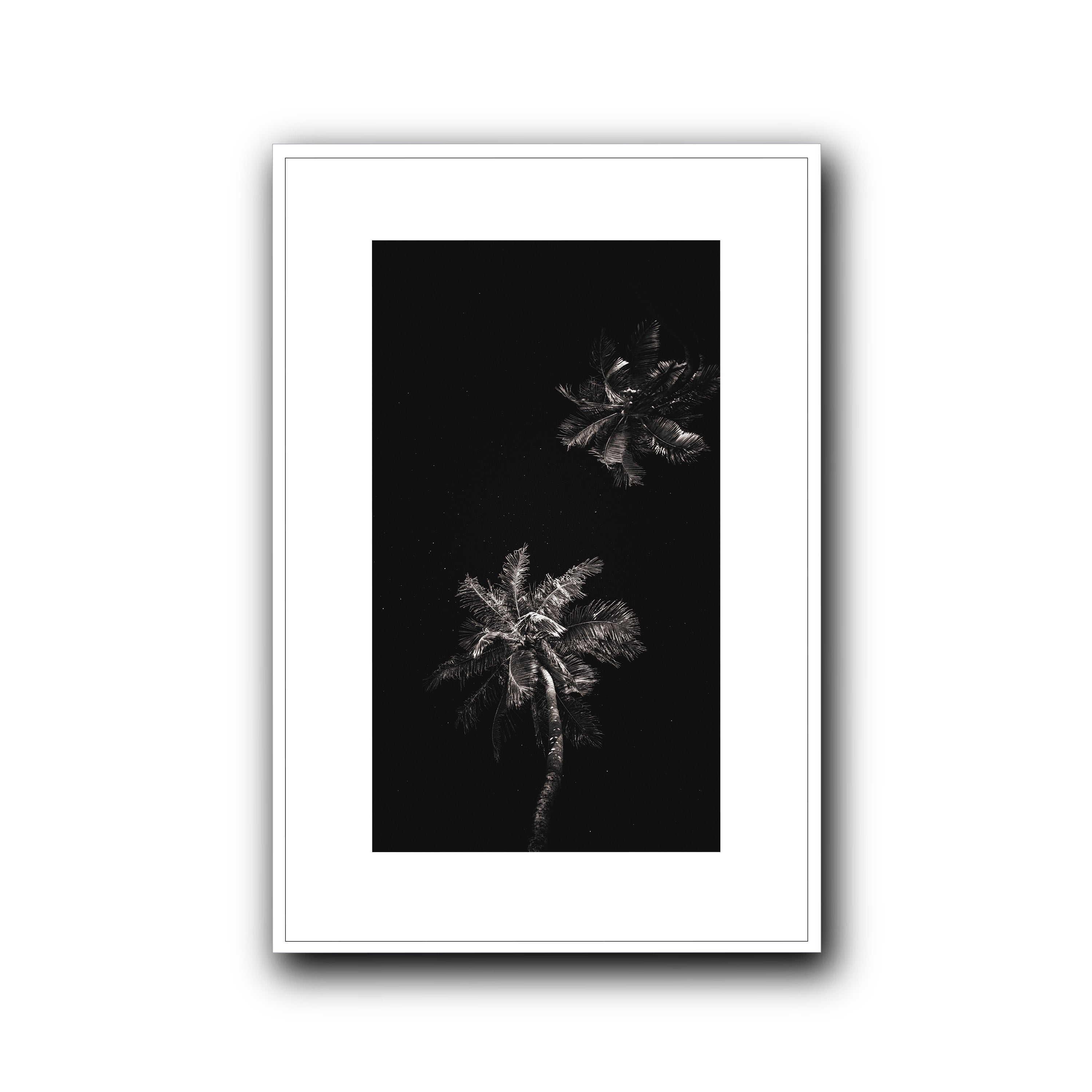 Dark Coco, Tahiti