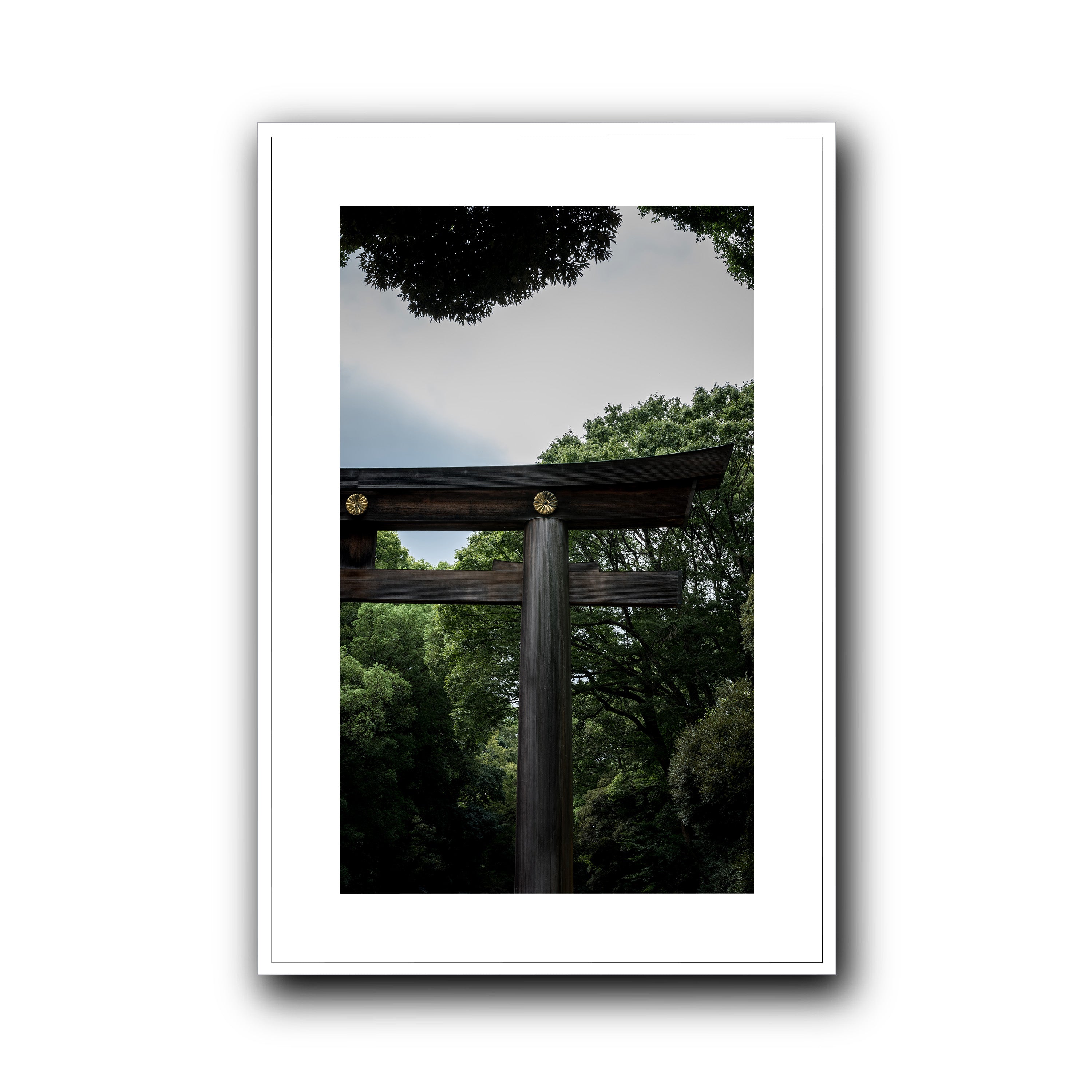 The Door, Tokyo