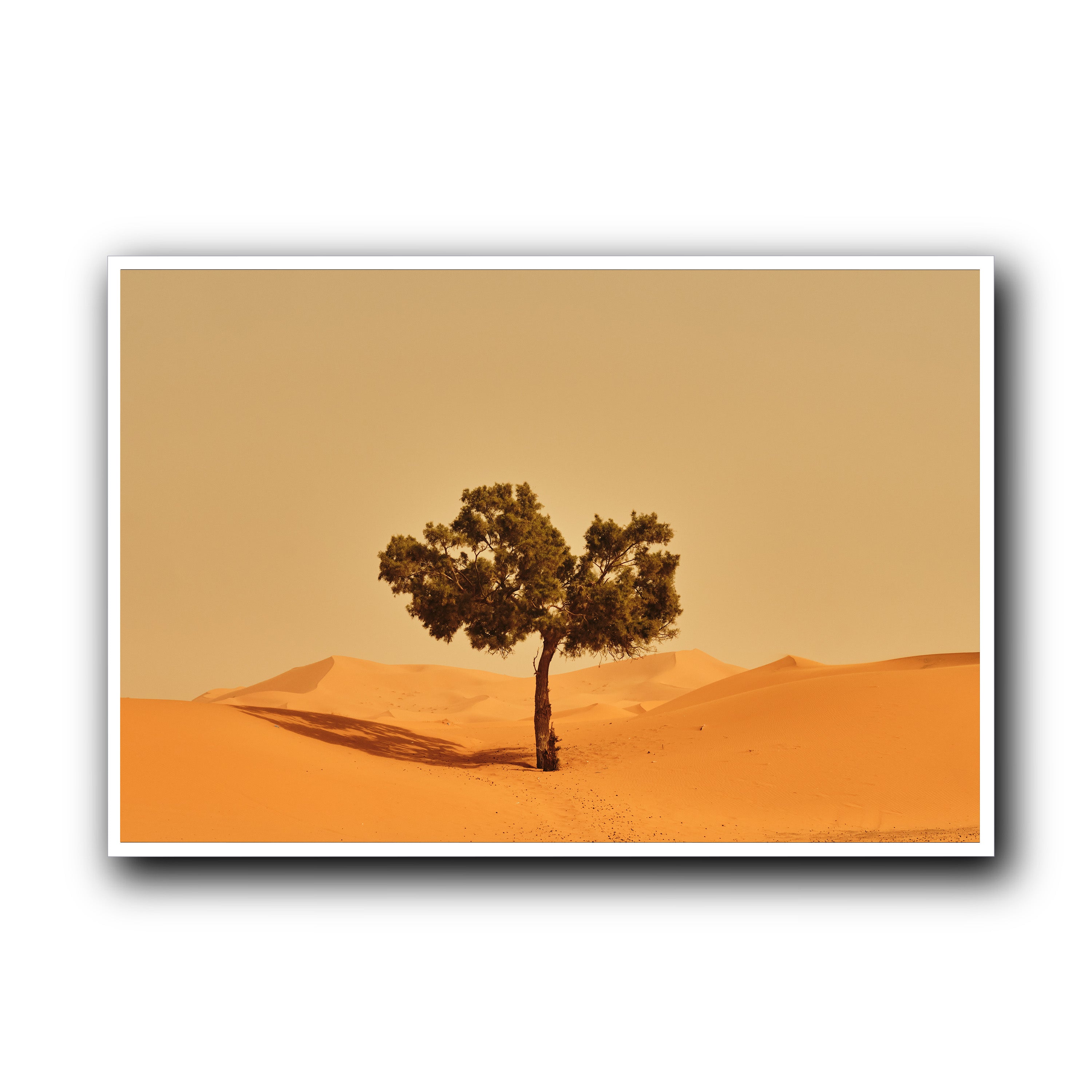 Solitude, Merzouga