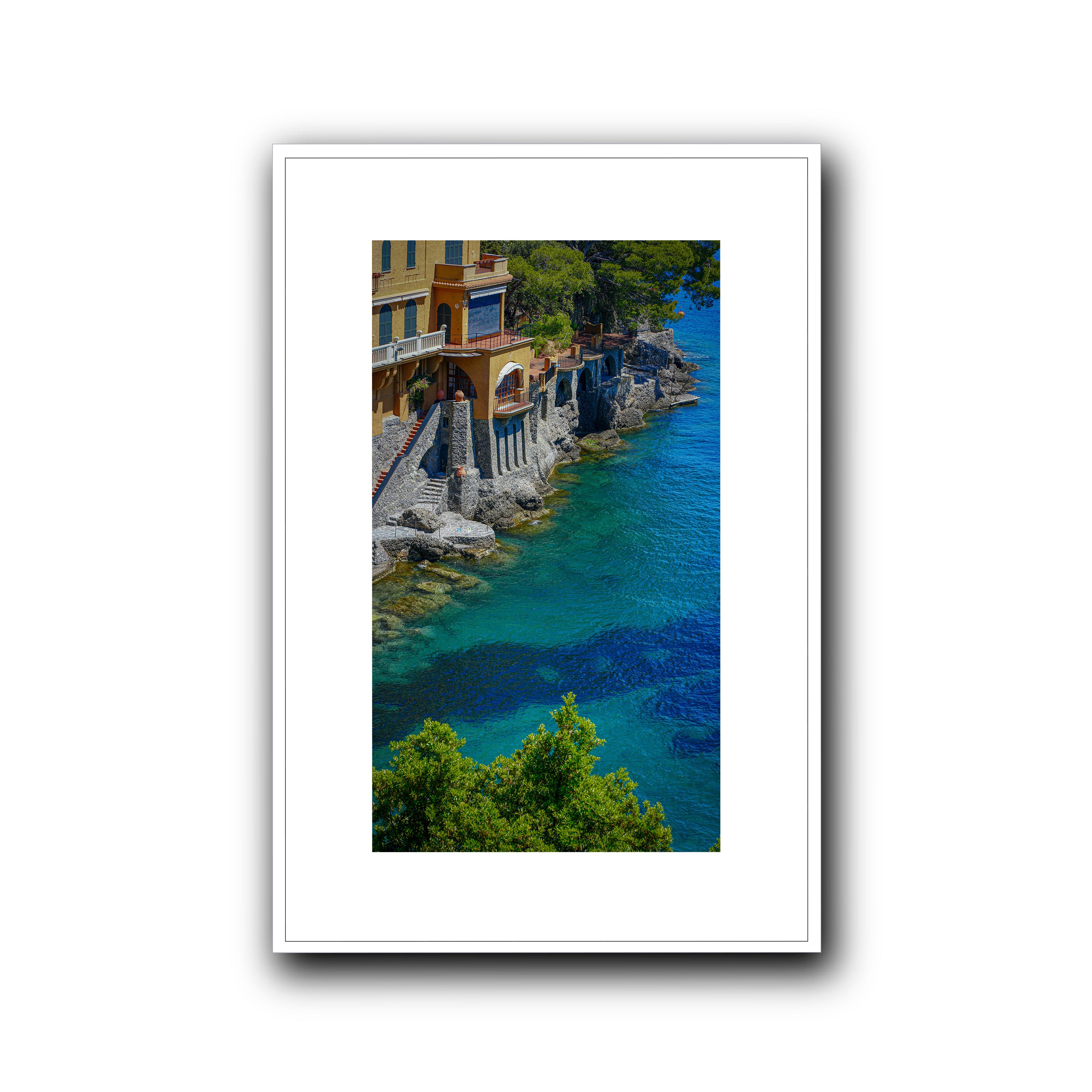 Morning Dive, Portofino