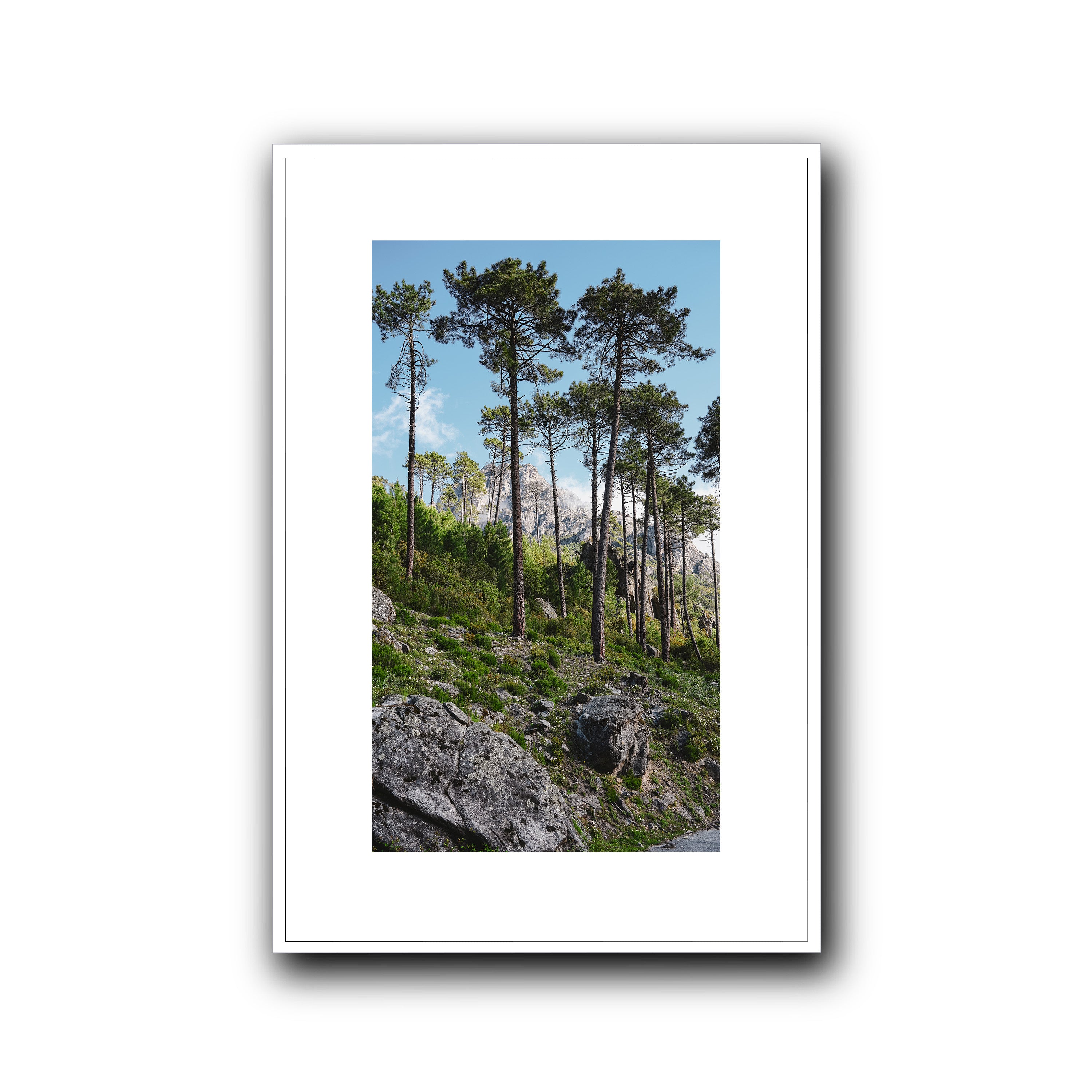 Toward the Sky, Corsica