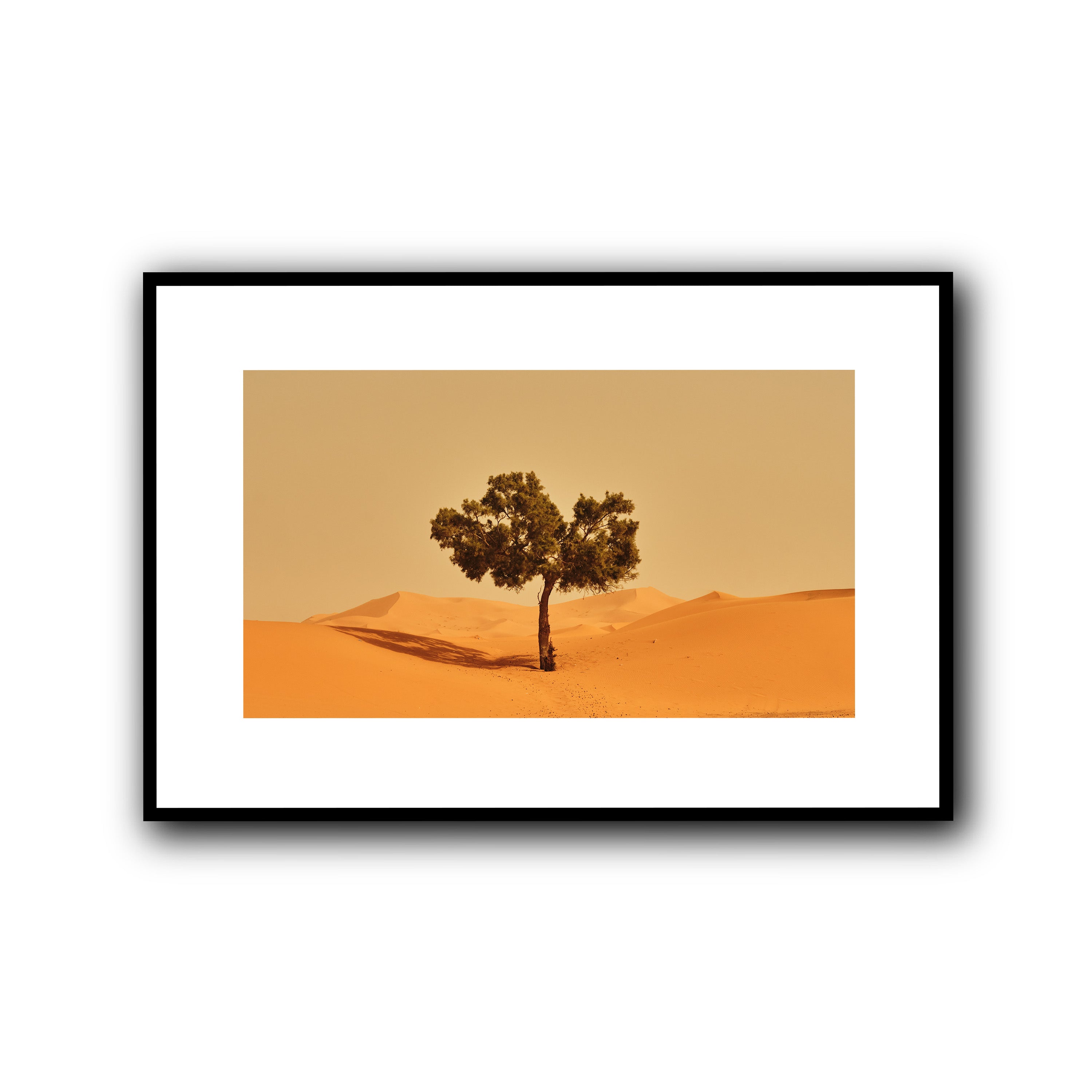 Solitude, Merzouga