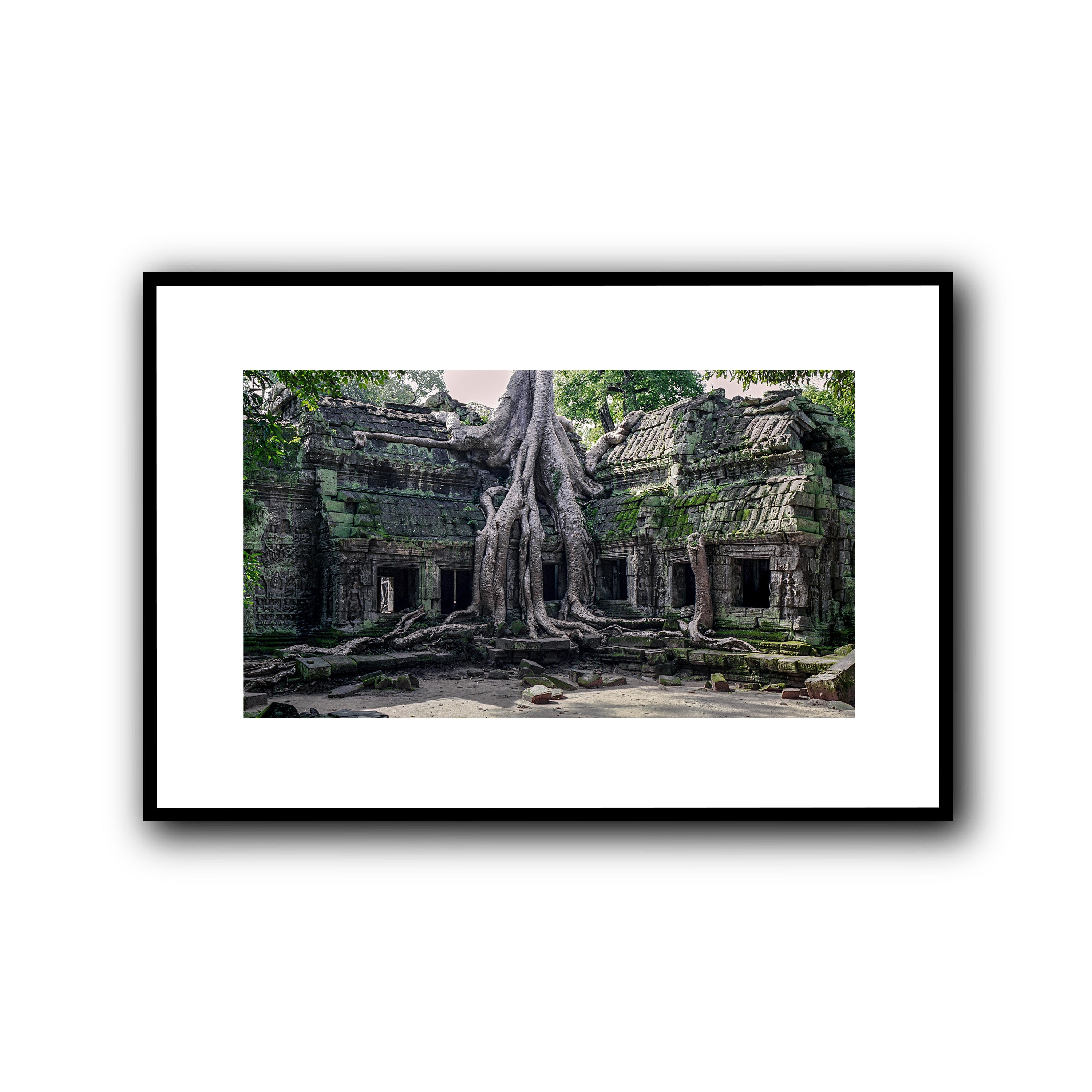 Ta Prohm, Siam Reap