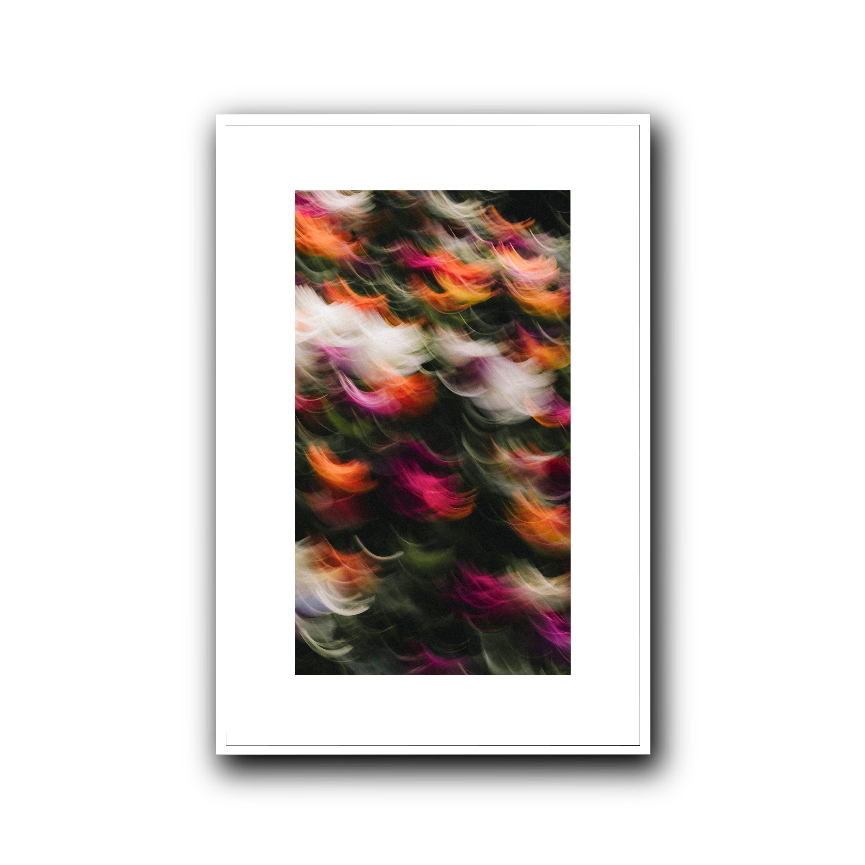 Flowers in Motion 2, Barcelona