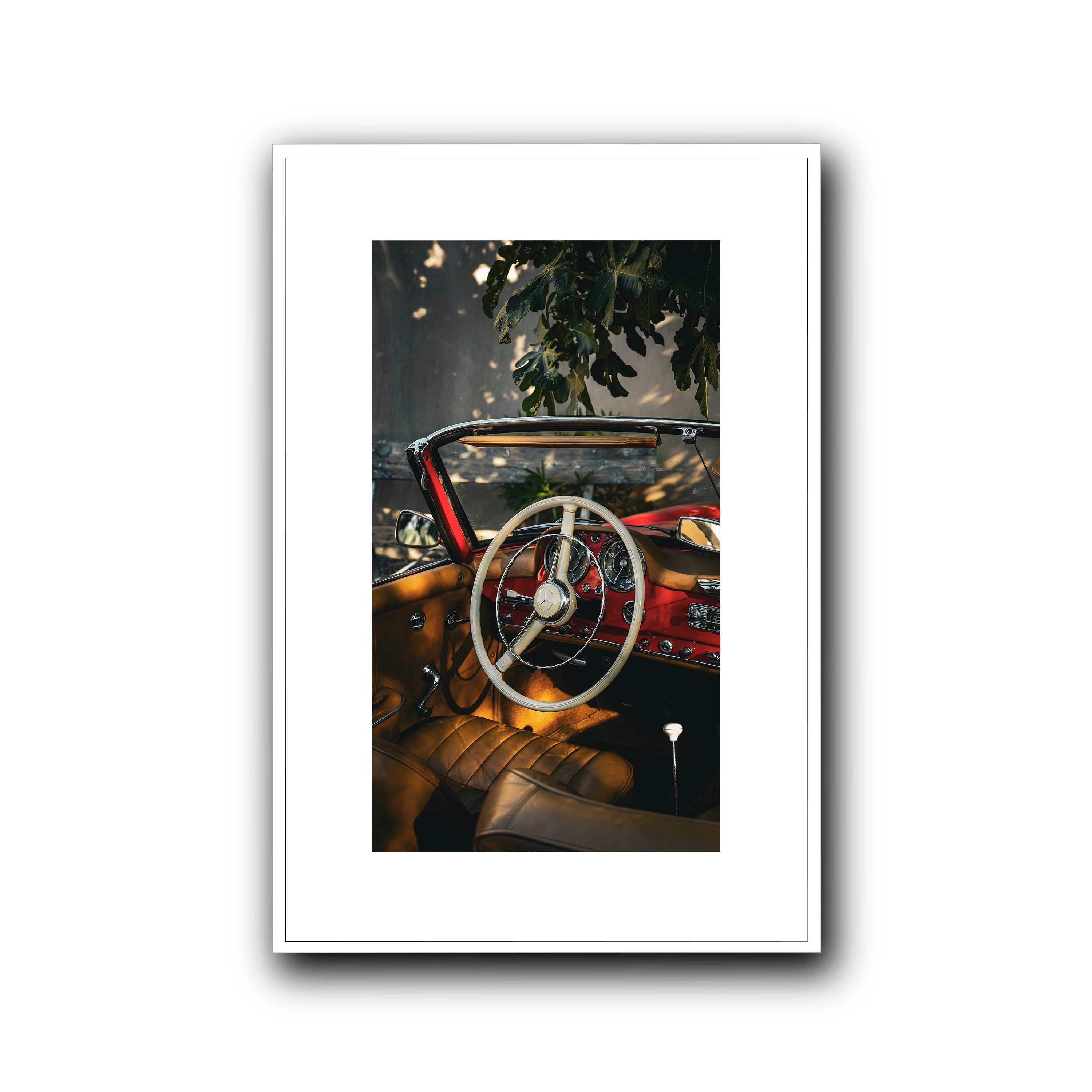 Nap Under the Fig Tree, Provence