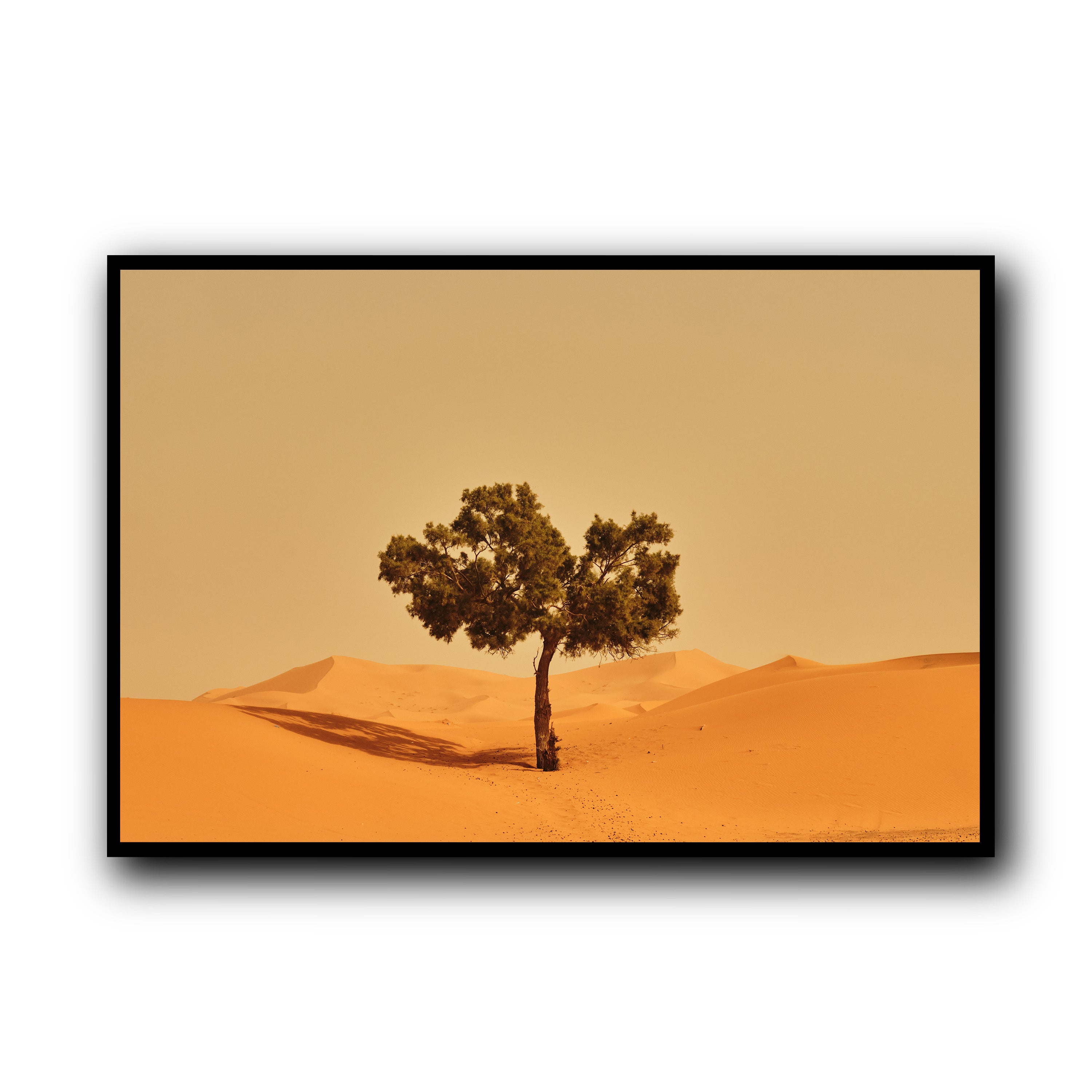 Solitude, Merzouga