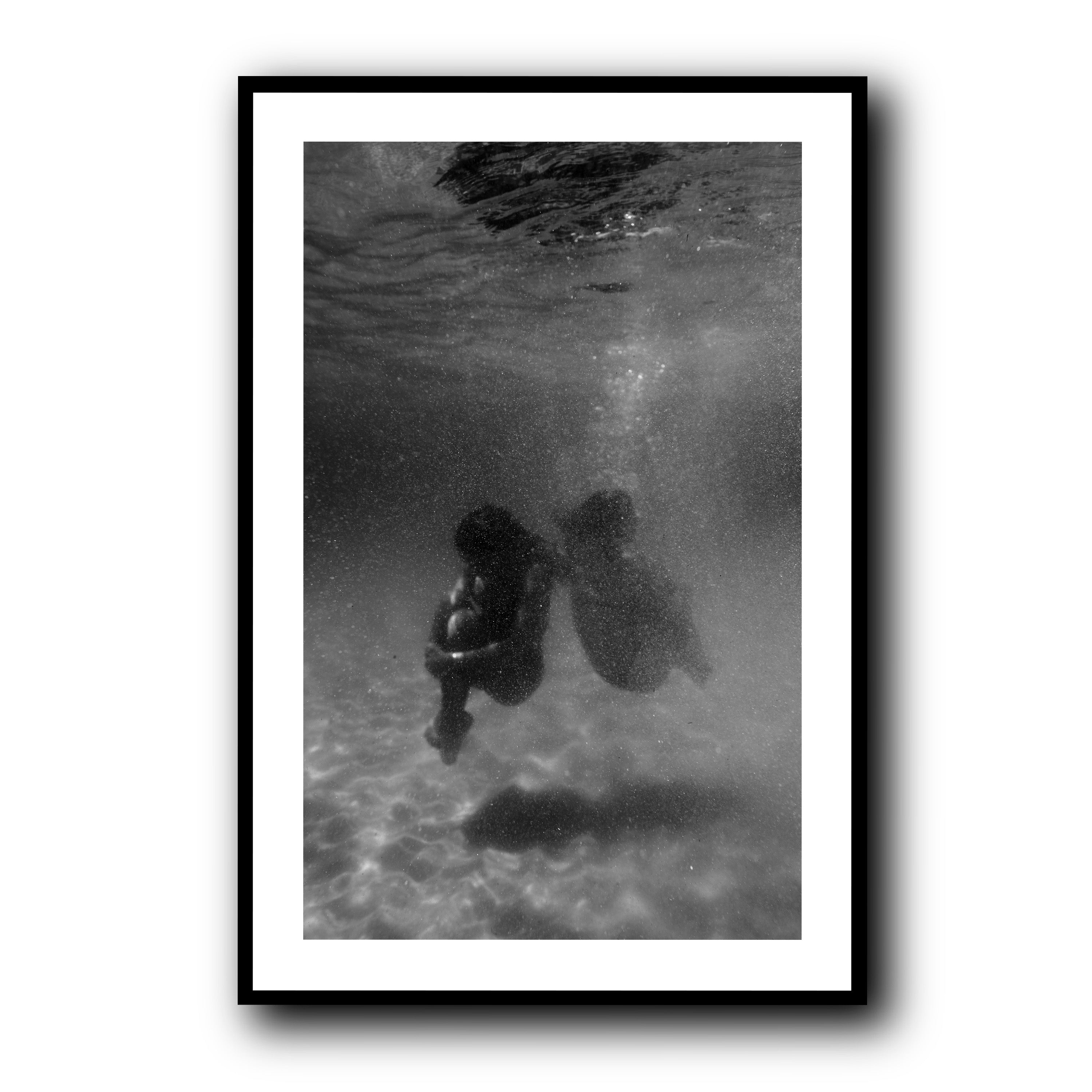Weightless, Tarifa