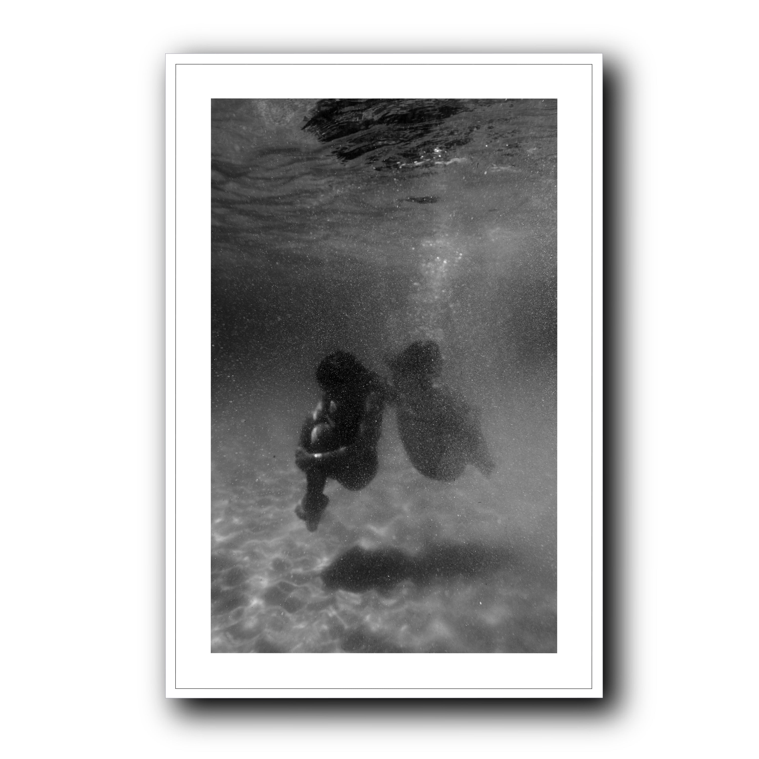 Weightless, Tarifa