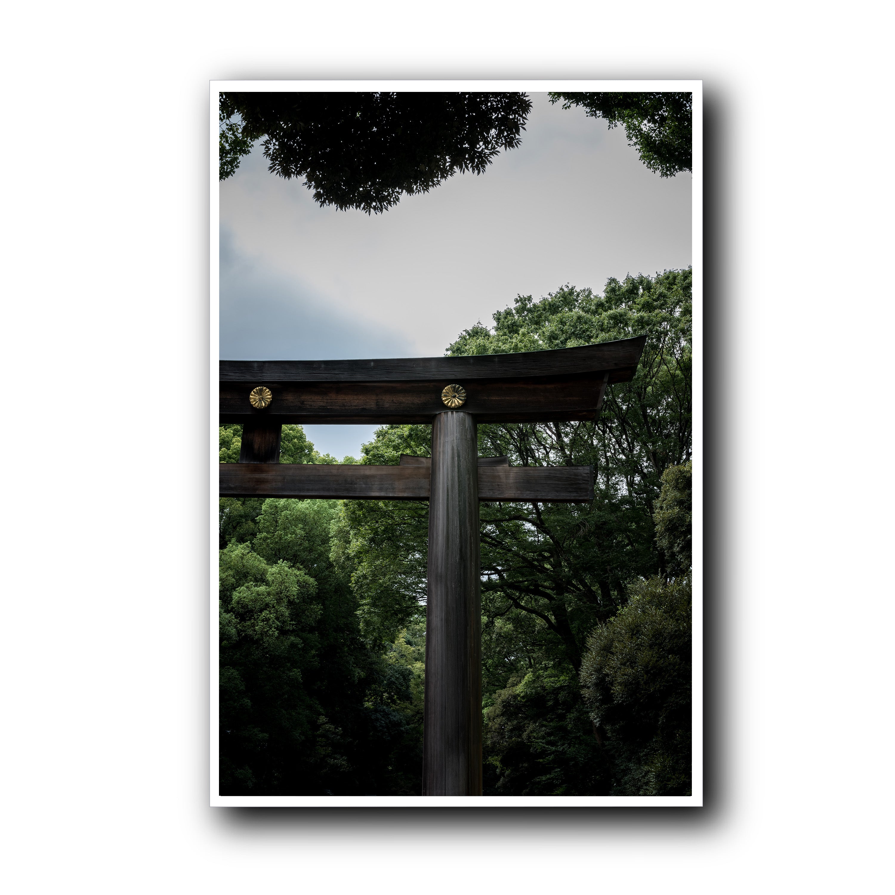 The Door, Tokyo